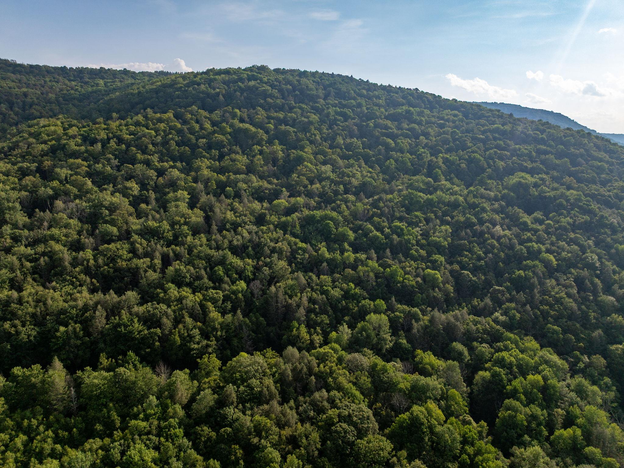 Broad Channel Road, Andes, NY 13731