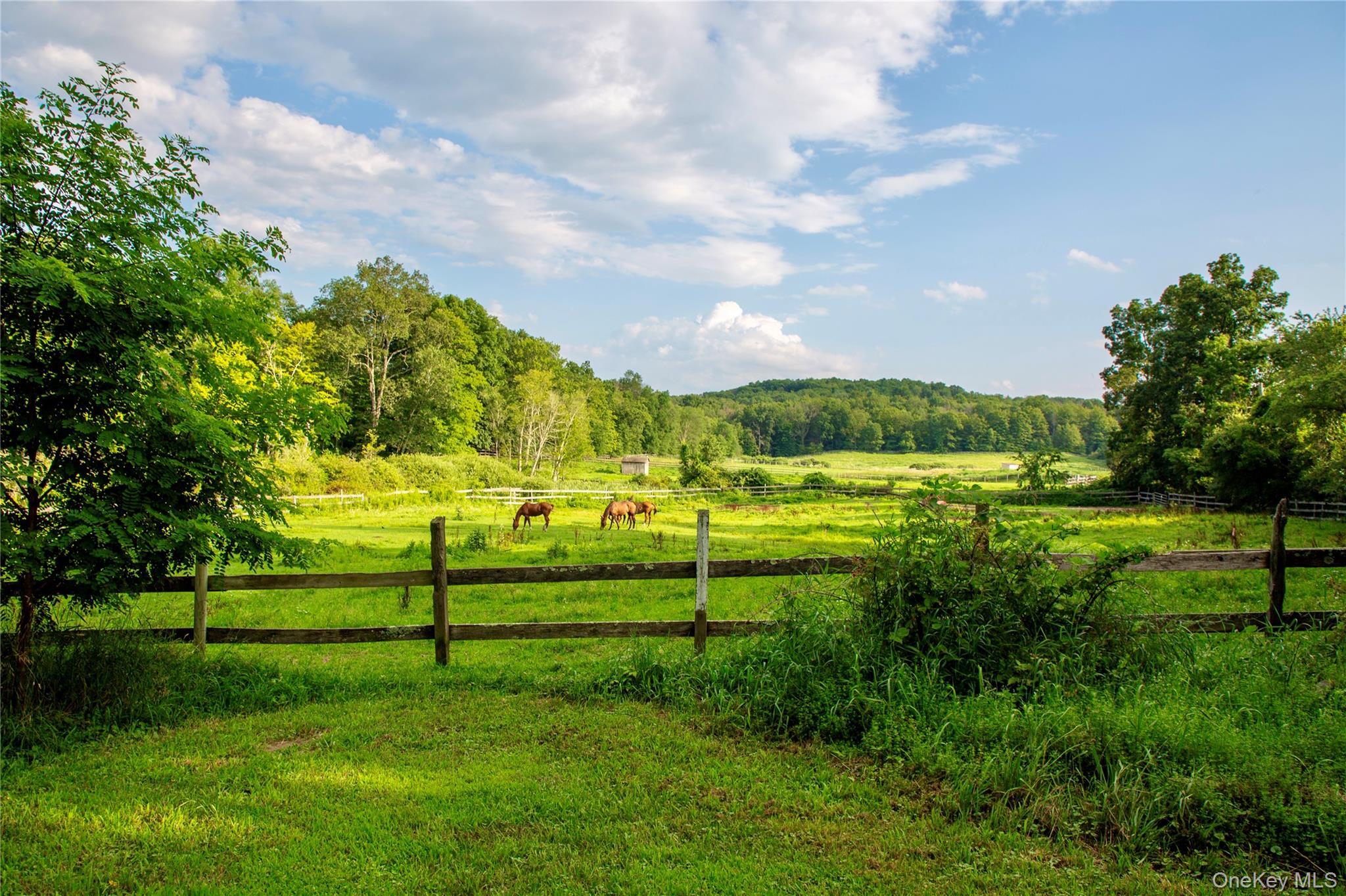 729 Cold Spring Road, Stanfordville, NY 12581