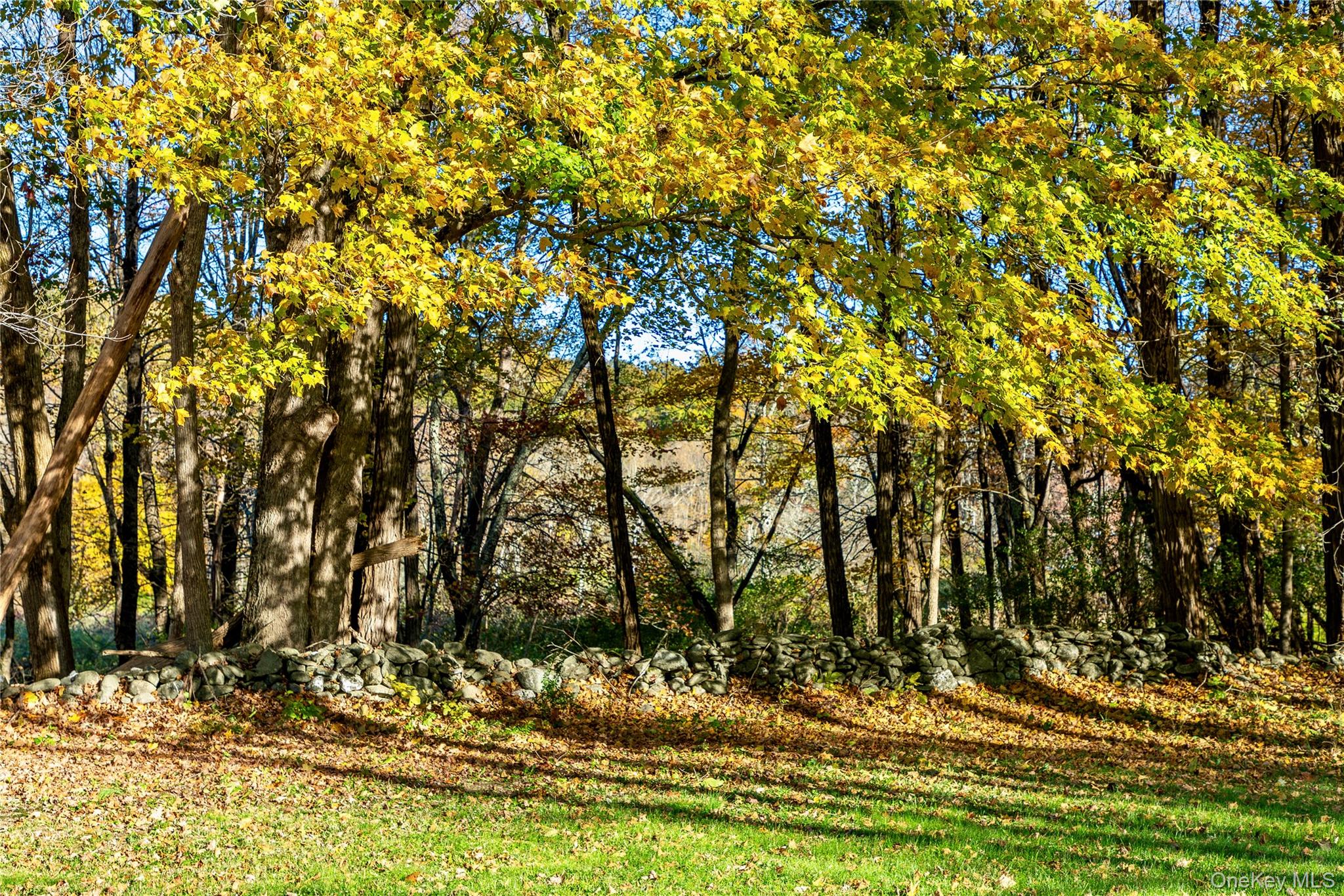 729 Cold Spring Road, Stanfordville, NY 12581