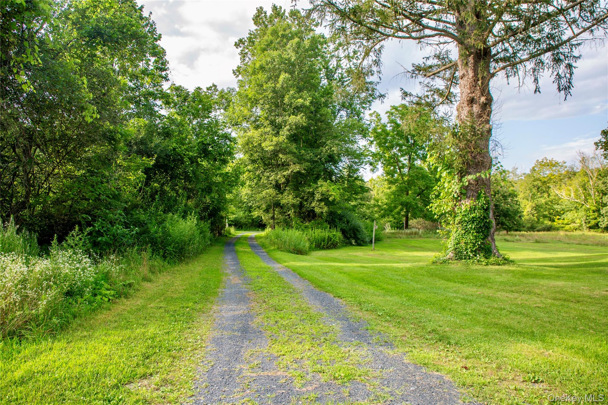 729 Cold Spring Road, Stanfordville, NY 12581