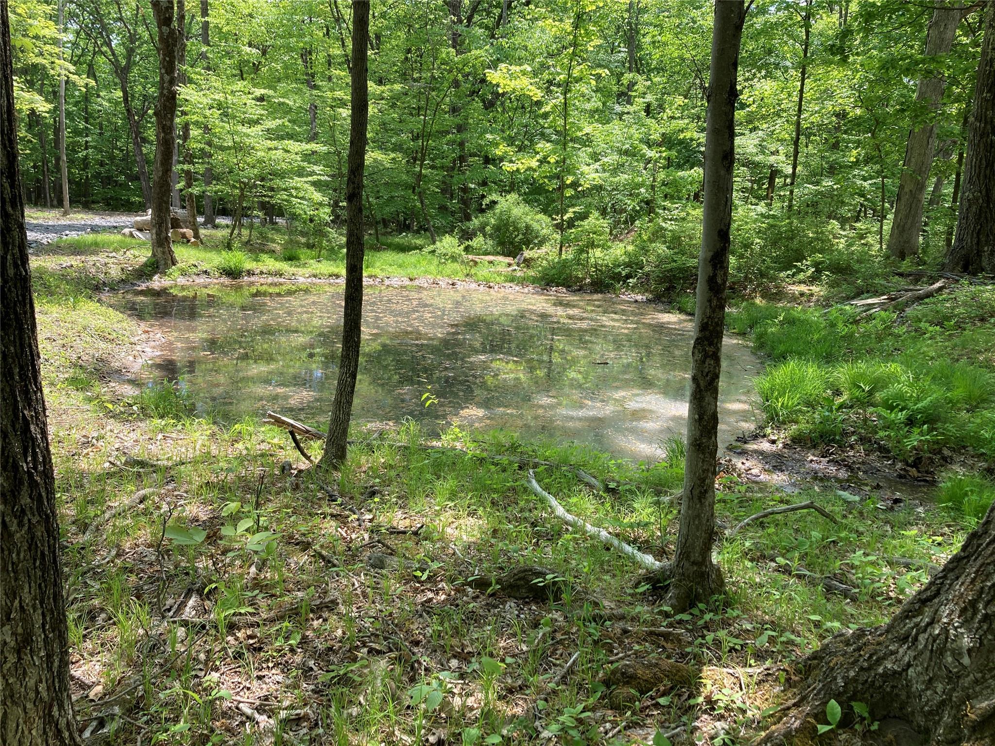 716 Upper Mountain Road, Pine Bush, NY 12566