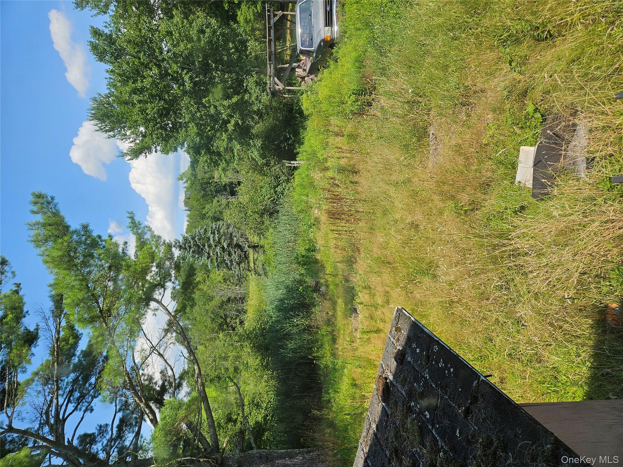 625 Briscoe Road, Swan Lake, NY 12783