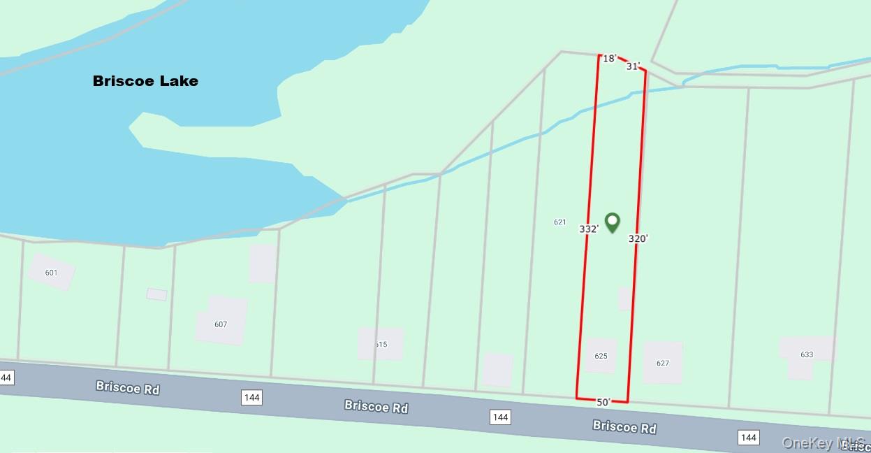 625 Briscoe Road, Swan Lake, NY 12783