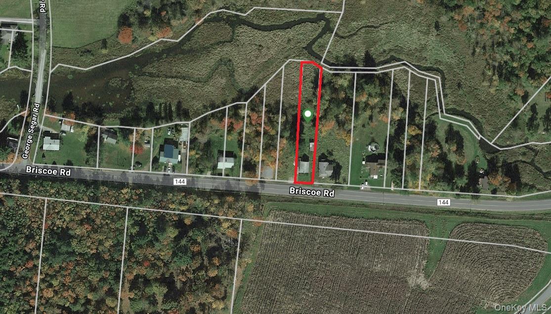 625 Briscoe Road, Swan Lake, NY 12783