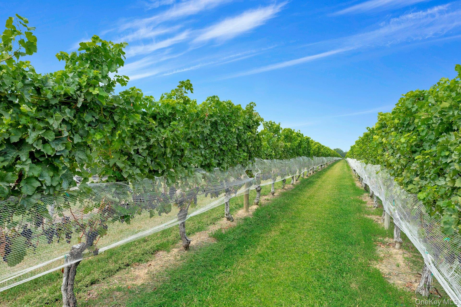 44075 Route 25, Peconic, NY 11971