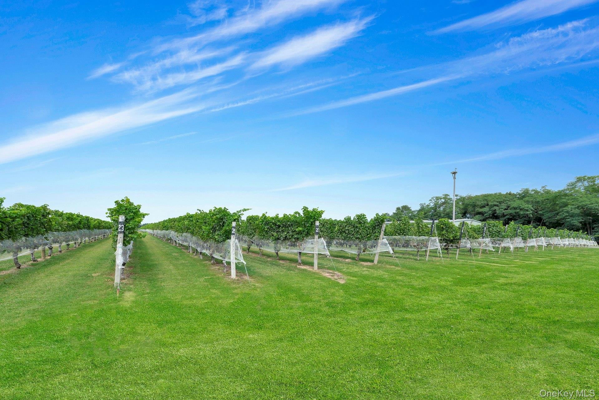 44075 Route 25, Peconic, NY 11971