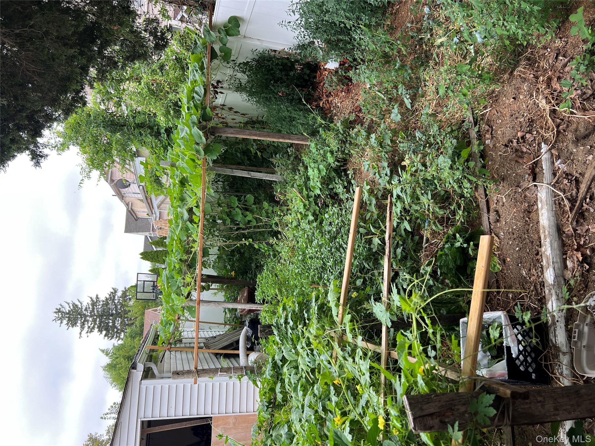 11608 196th Street, Saint Albans, NY 11412