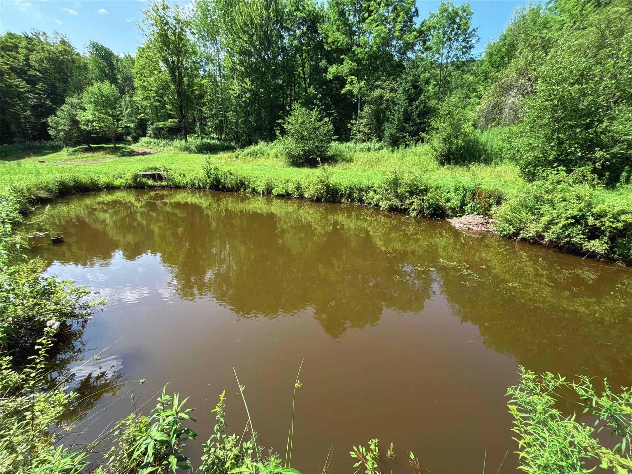 162 Disco Drive, Other, NY 13788