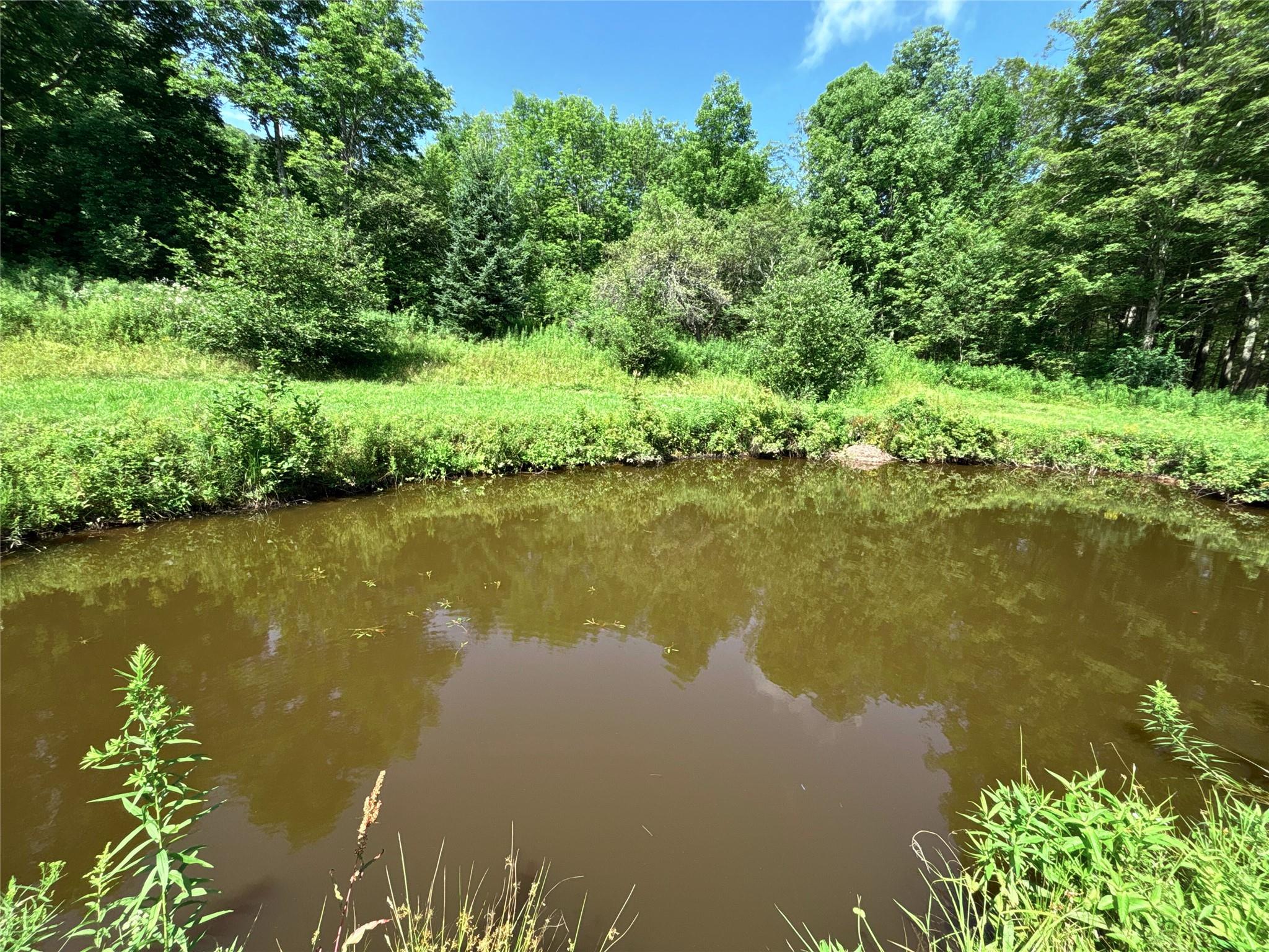 162 Disco Drive, Other, NY 13788