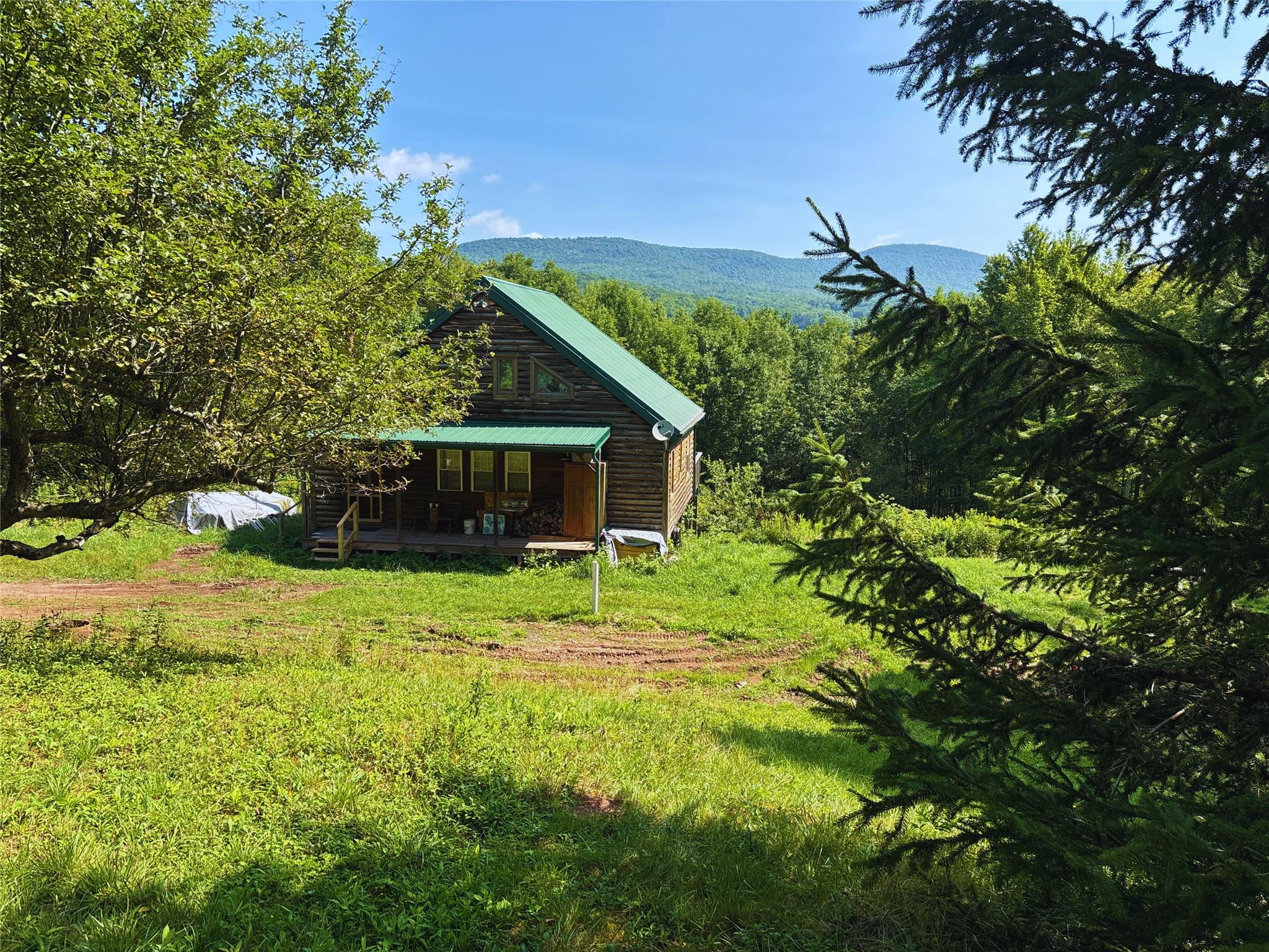 162 Disco Drive, Other, NY 13788