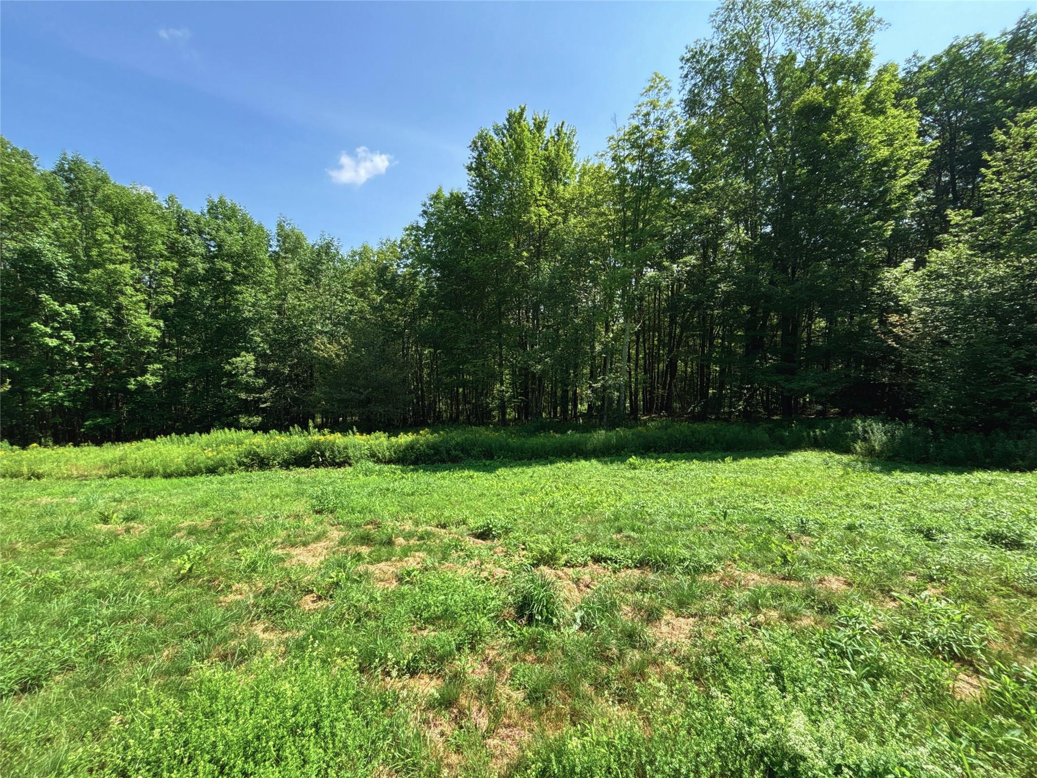 162 Disco Drive, Other, NY 13788