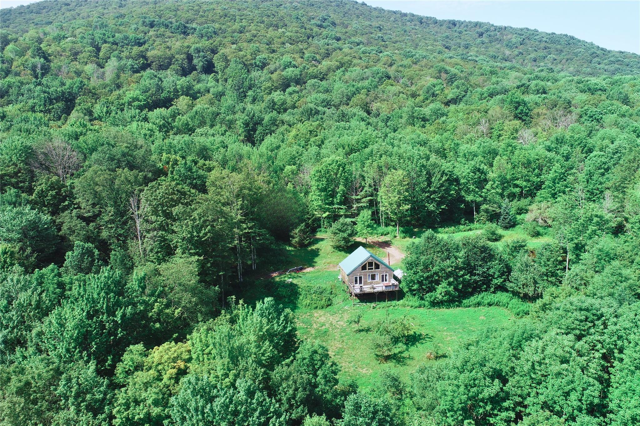 162 Disco Drive, Other, NY 13788