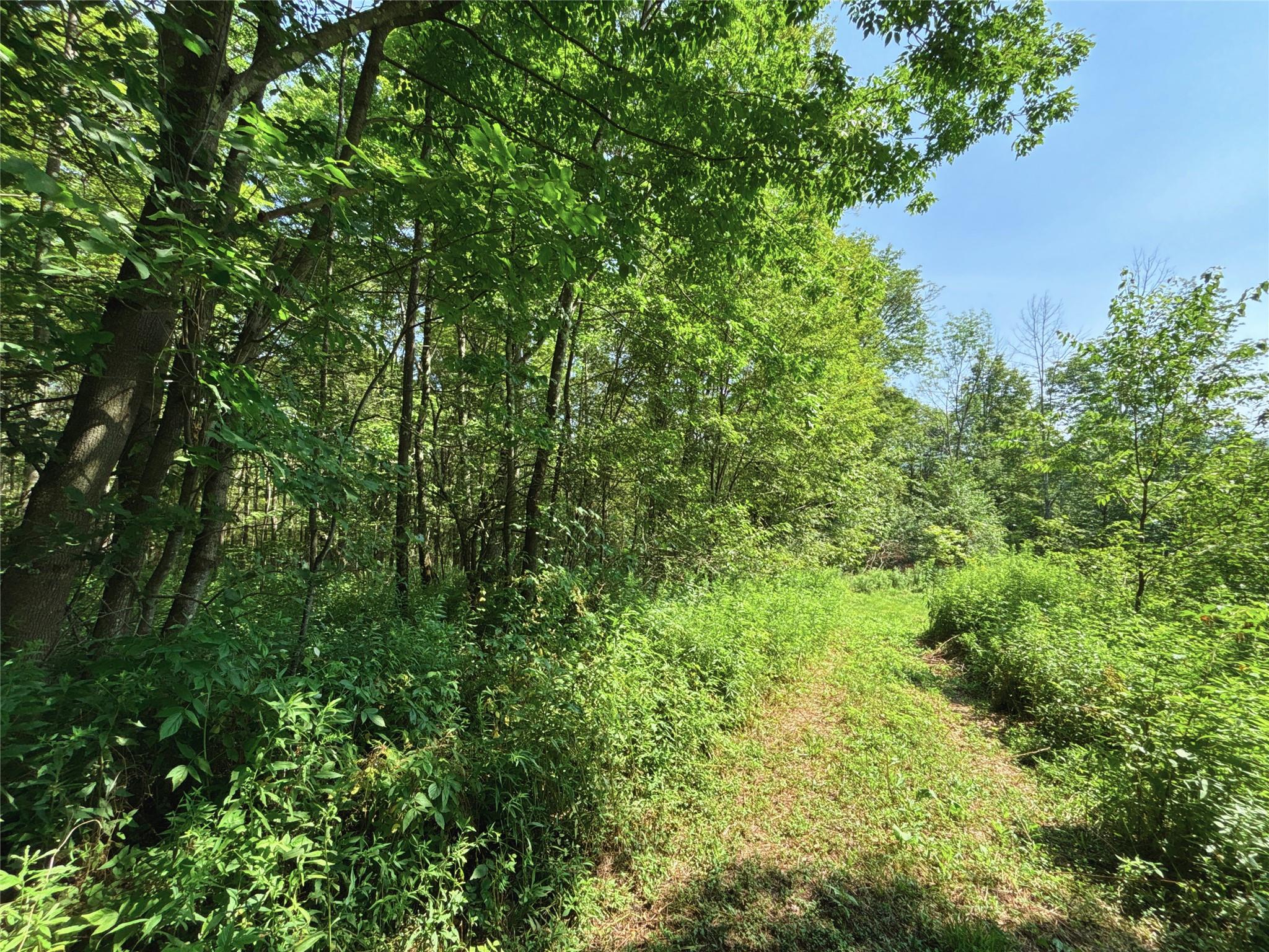 162 Disco Drive, Other, NY 13788