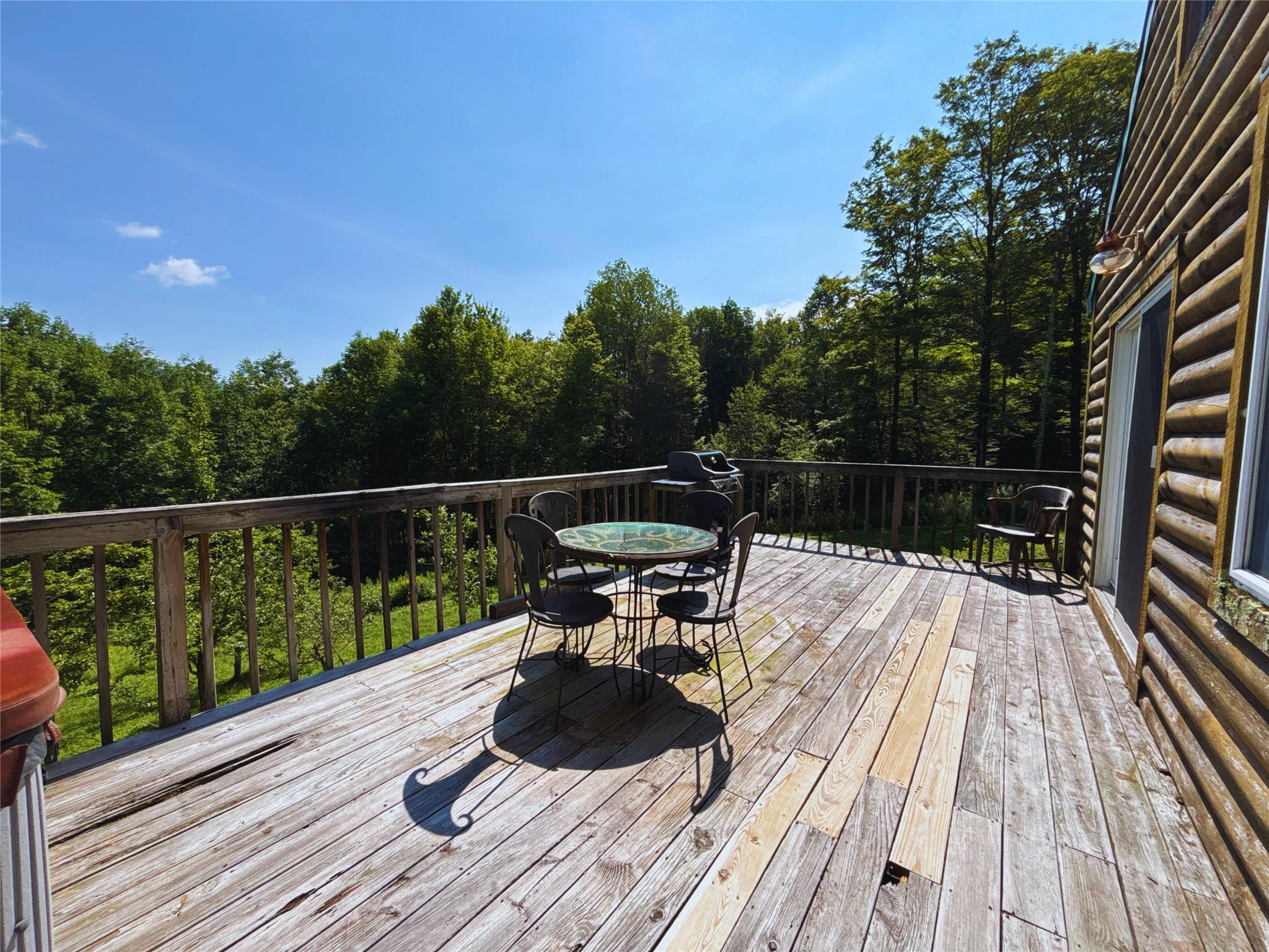 162 Disco Drive, Other, NY 13788