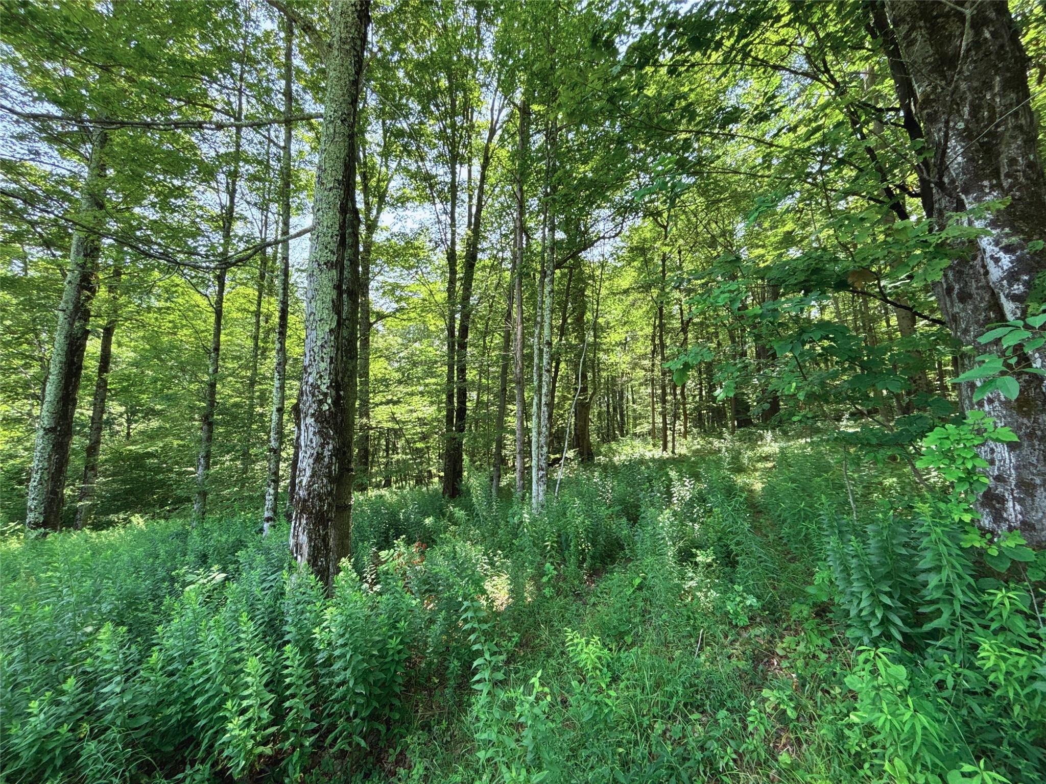 162 Disco Drive, Other, NY 13788