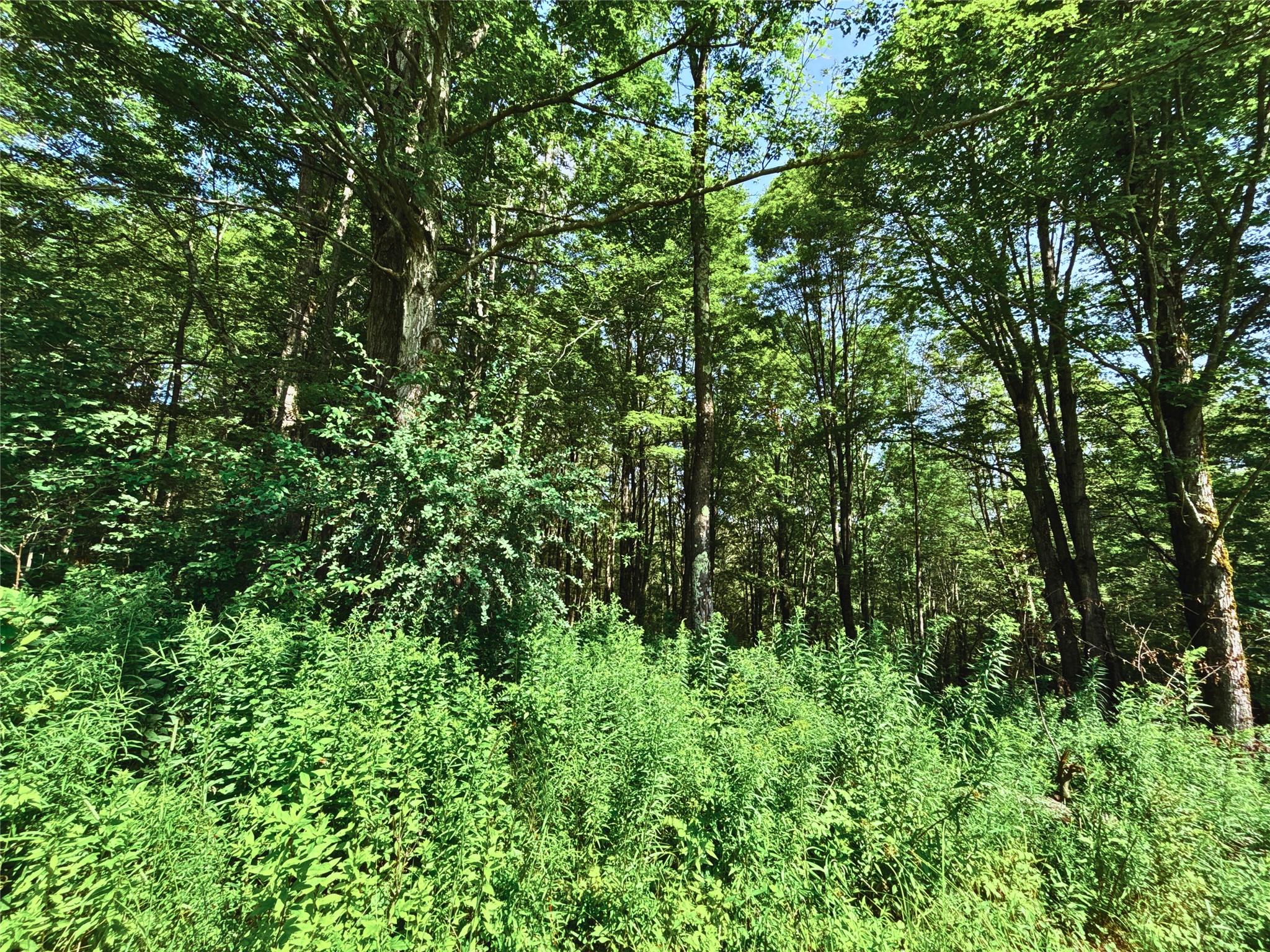 162 Disco Drive, Other, NY 13788