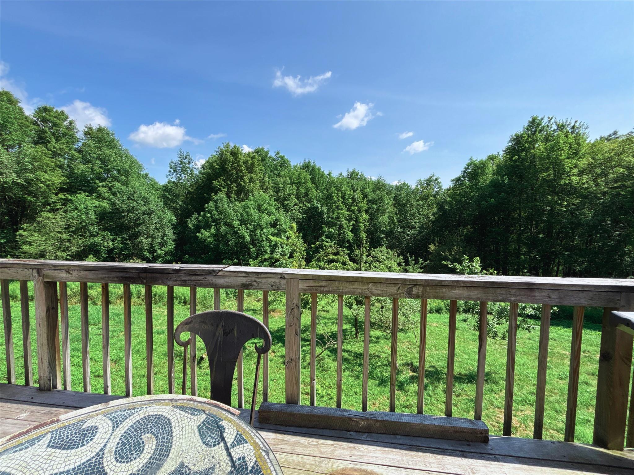 162 Disco Drive, Other, NY 13788