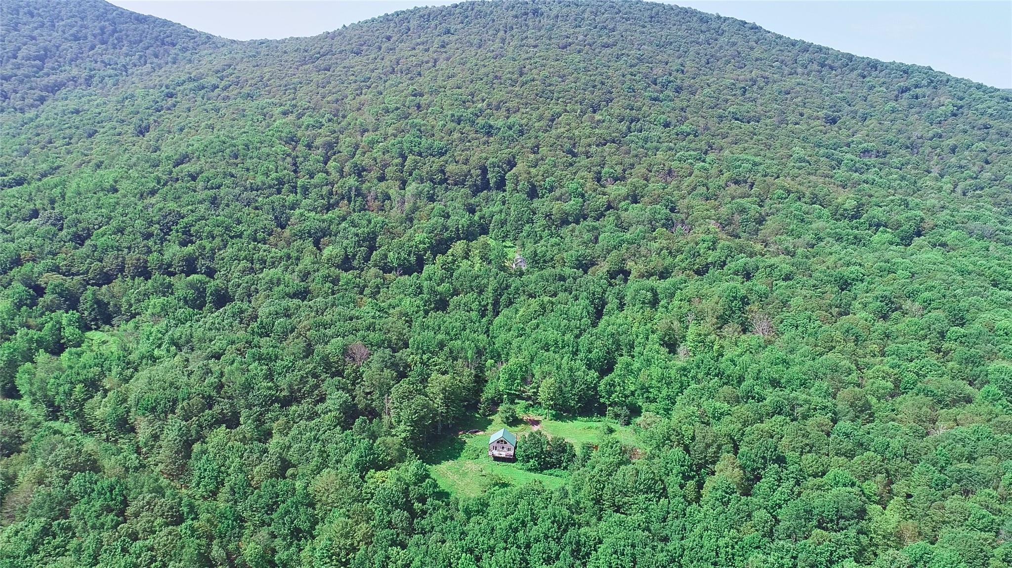 162 Disco Drive, Other, NY 13788