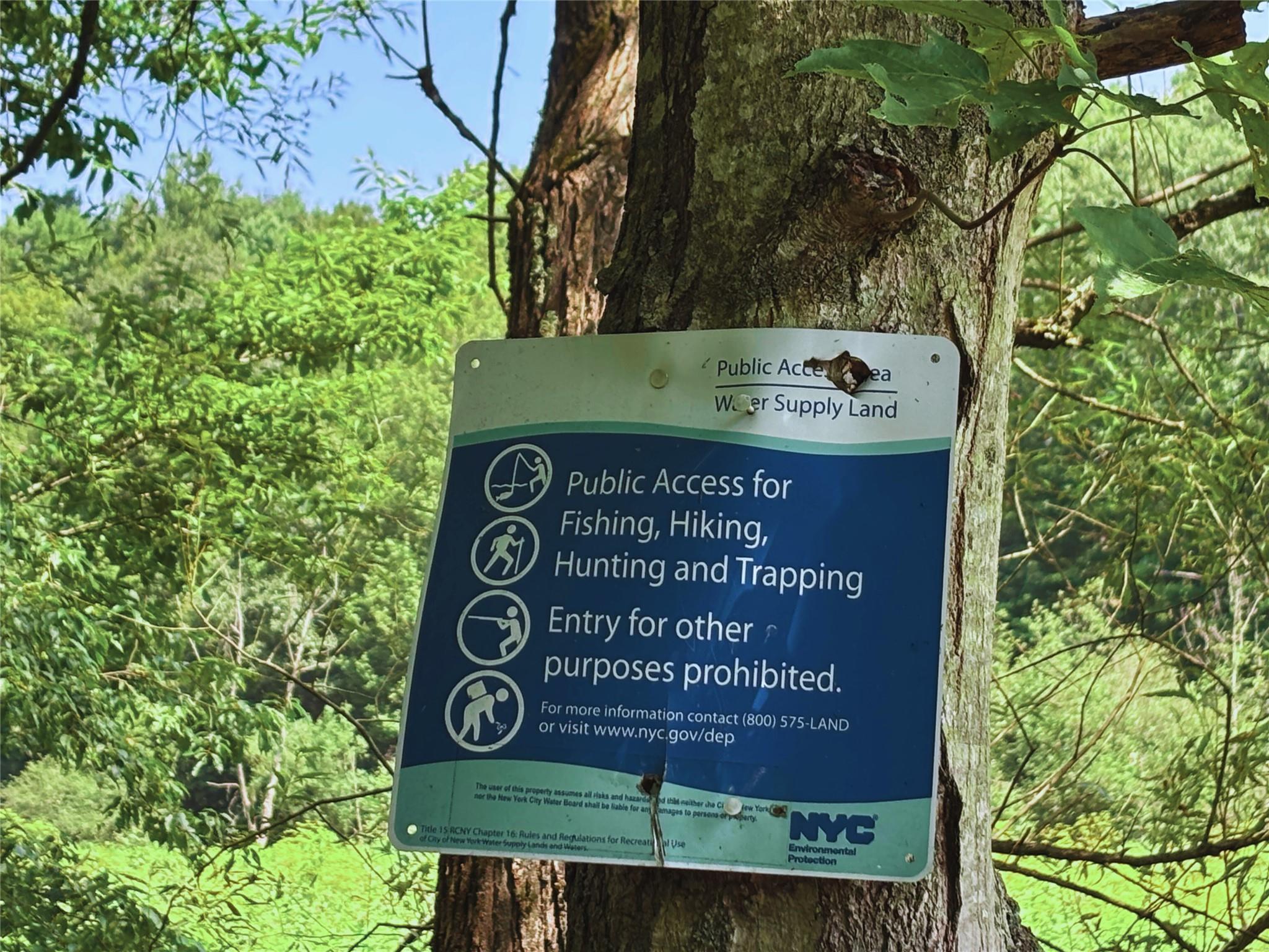 162 Disco Drive, Other, NY 13788