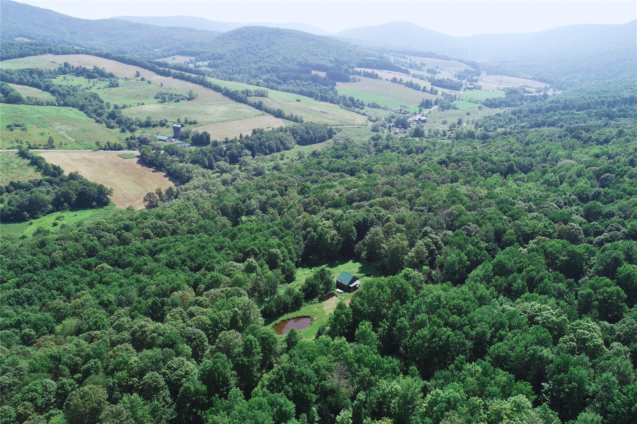 162 Disco Drive, Other, NY 13788