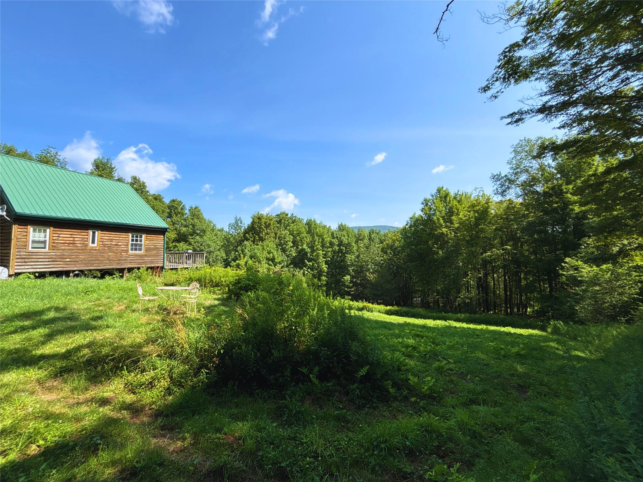 162 Disco Drive, Other, NY 13788