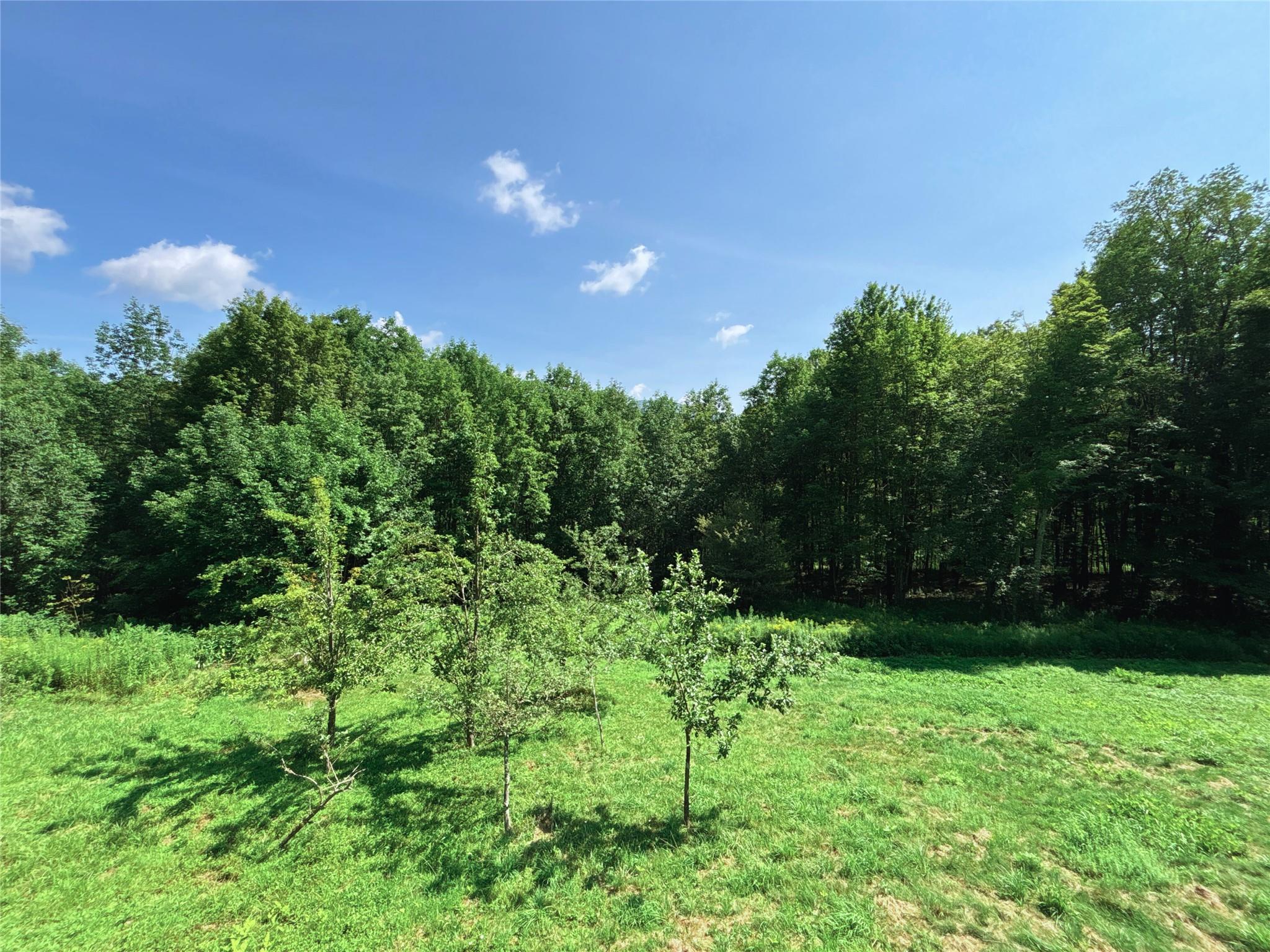 162 Disco Drive, Other, NY 13788