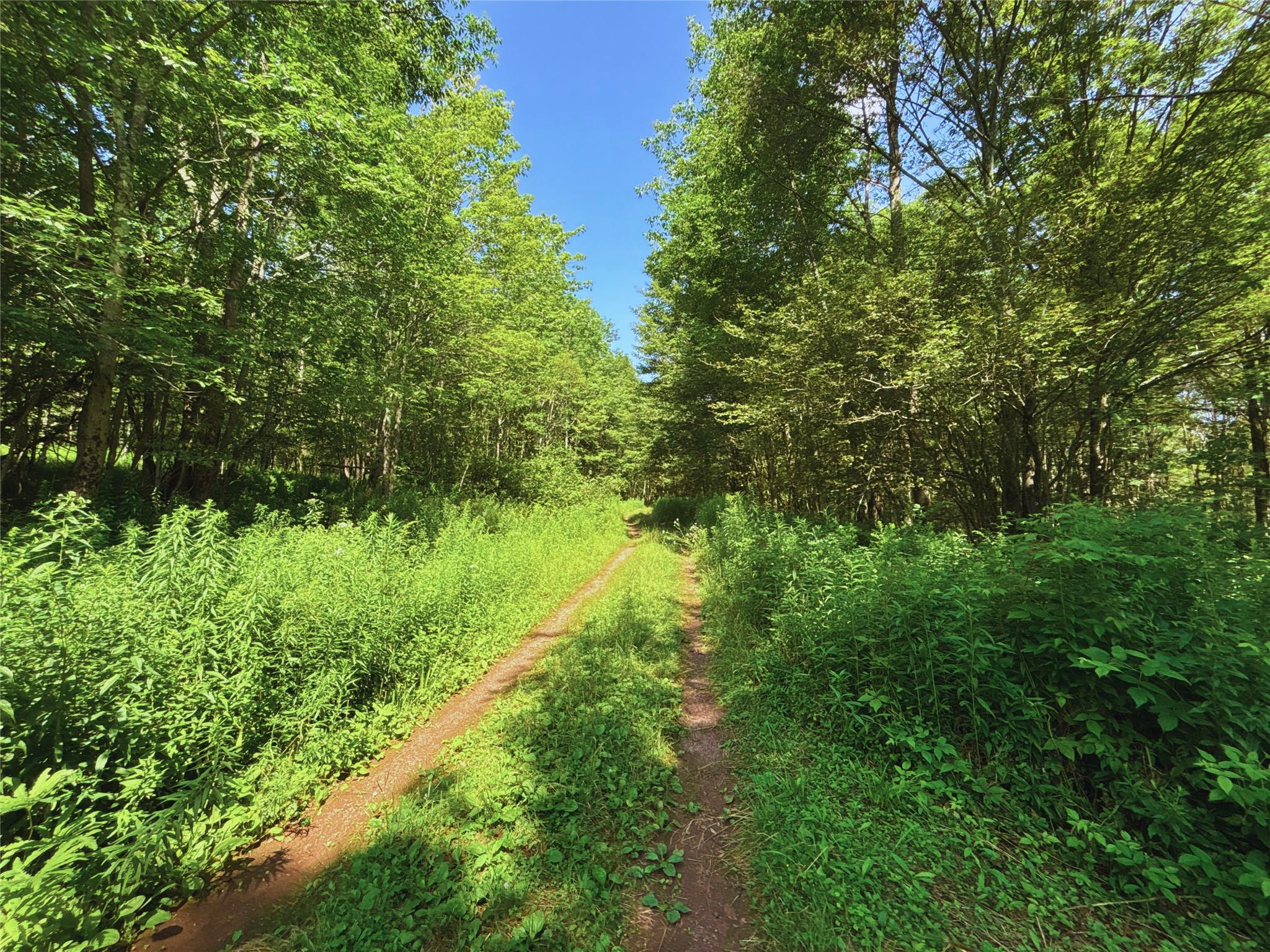 162 Disco Drive, Other, NY 13788