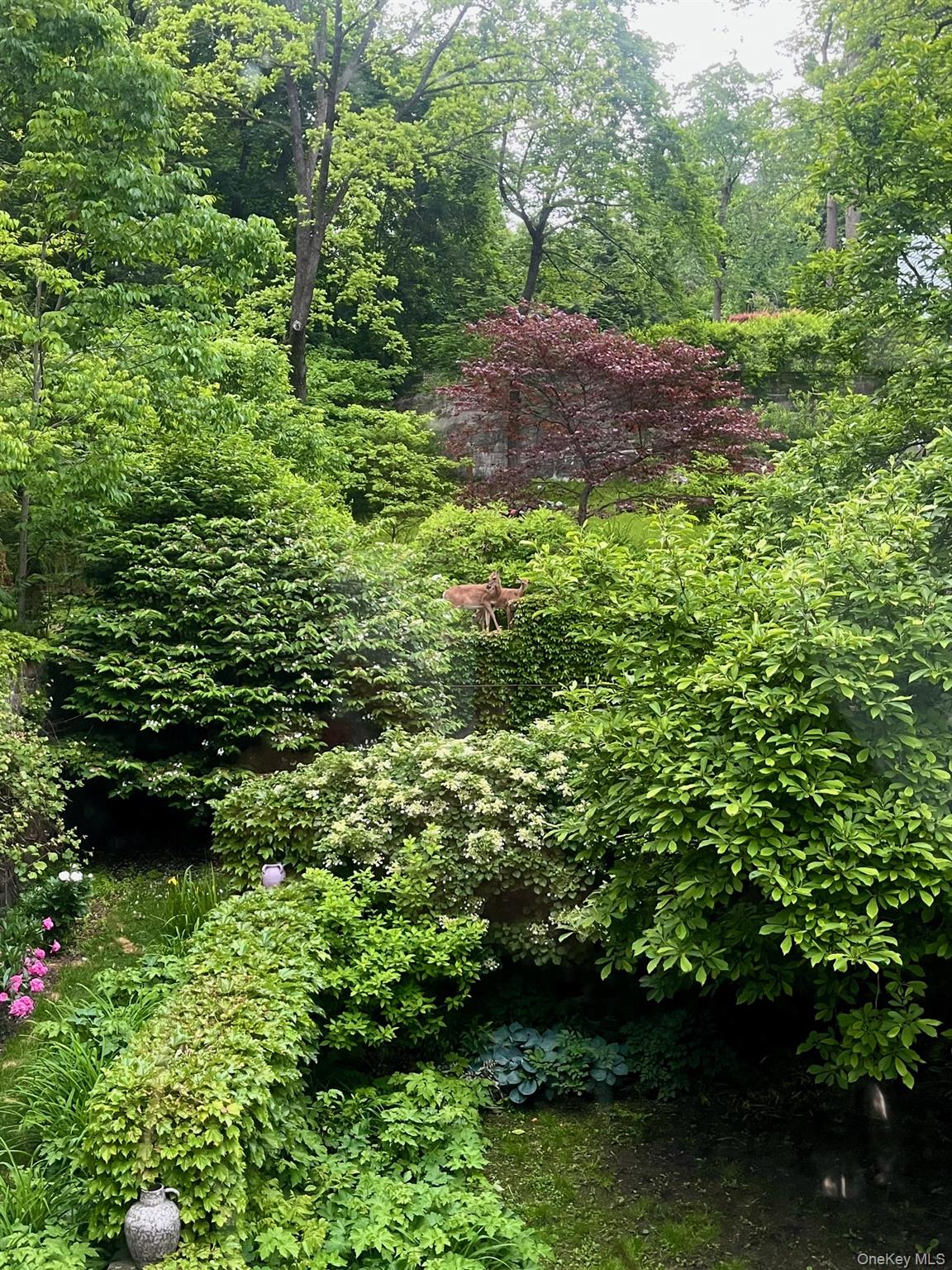 55 Clubhouse, Tuxedo Park, NY 10987