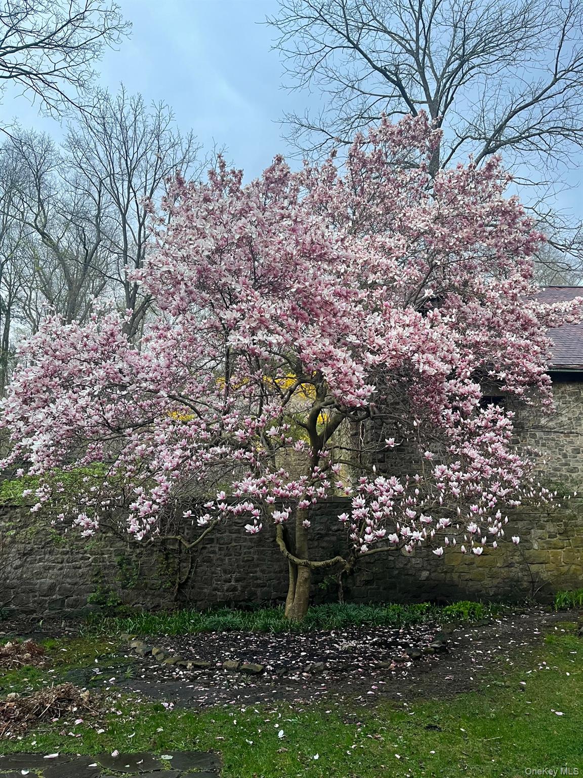 55 Clubhouse, Tuxedo Park, NY 10987