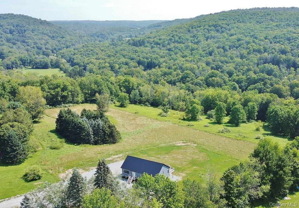 129 Nelson Road, Fremont Center, NY 12736