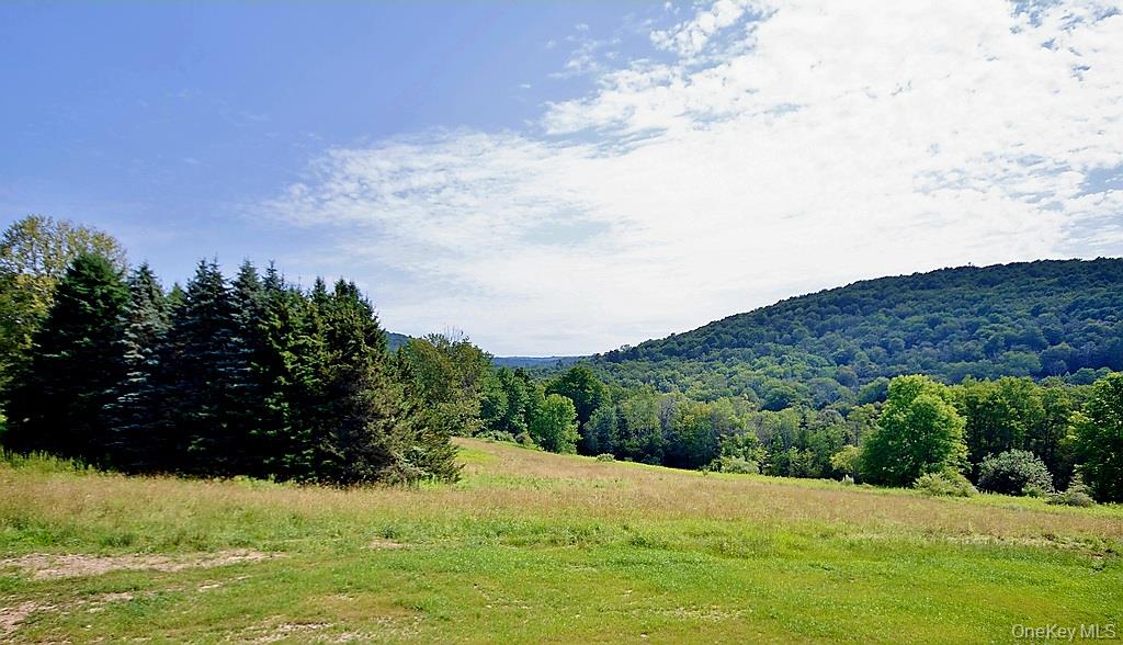 129 Nelson Road, Fremont Center, NY 12736