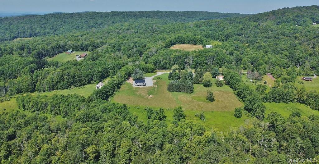 129 Nelson Road, Fremont Center, NY 12736