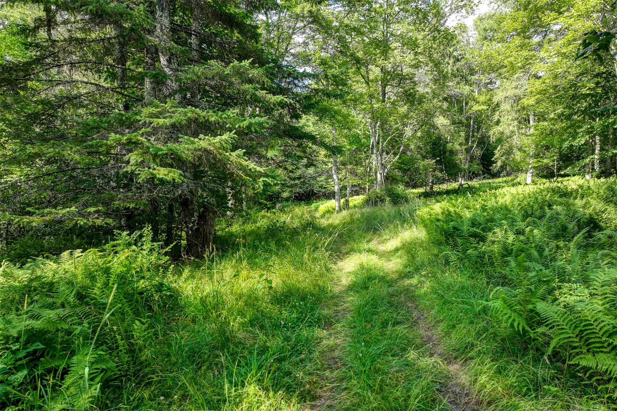 821 Berry Brook Road, Roscoe, NY 12776