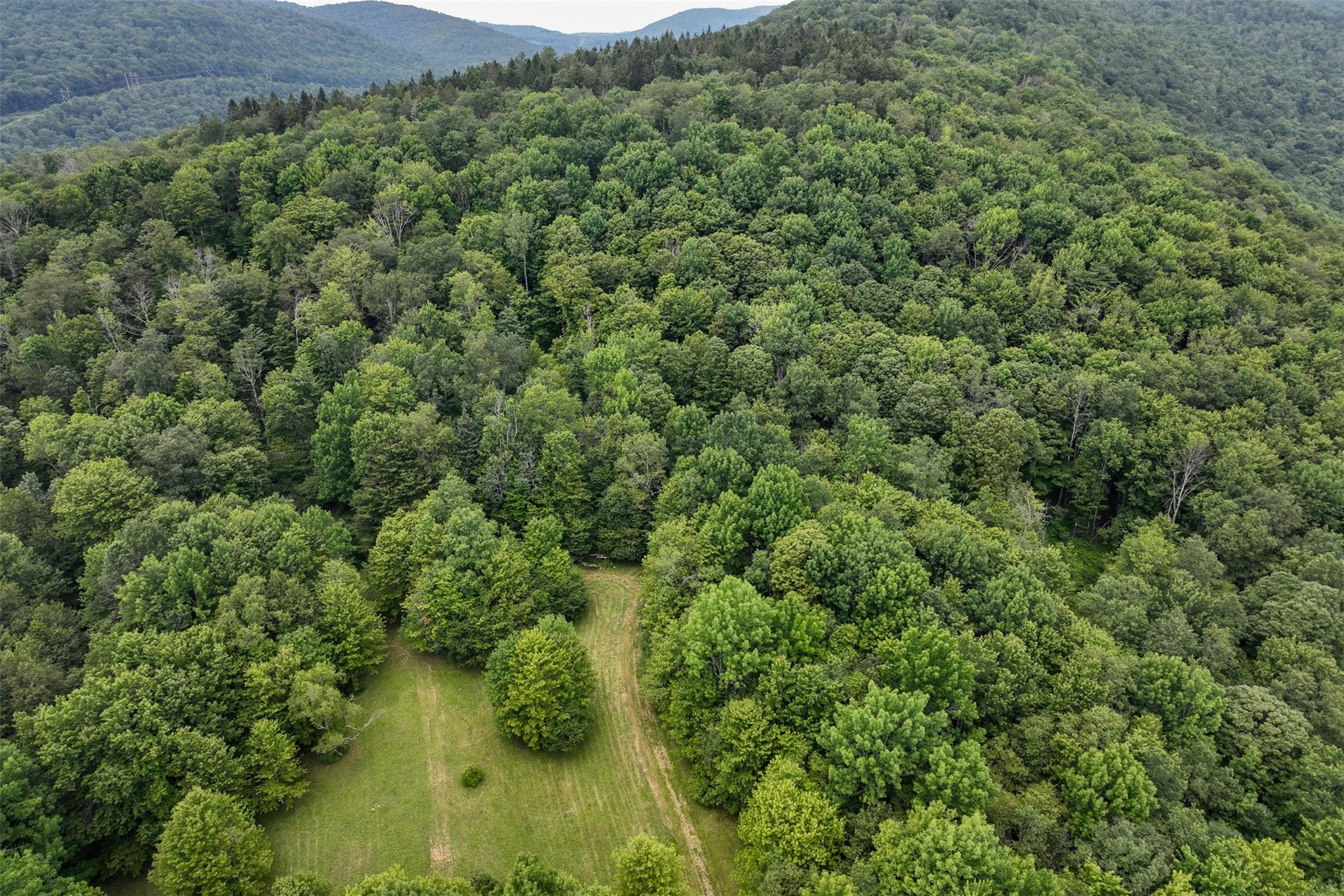 821 Berry Brook Road, Roscoe, NY 12776