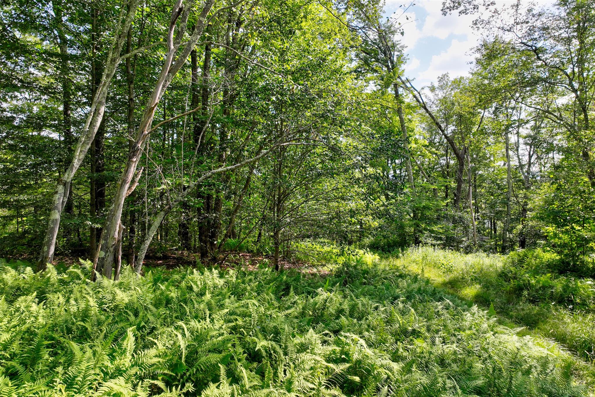 821 Berry Brook Road, Roscoe, NY 12776