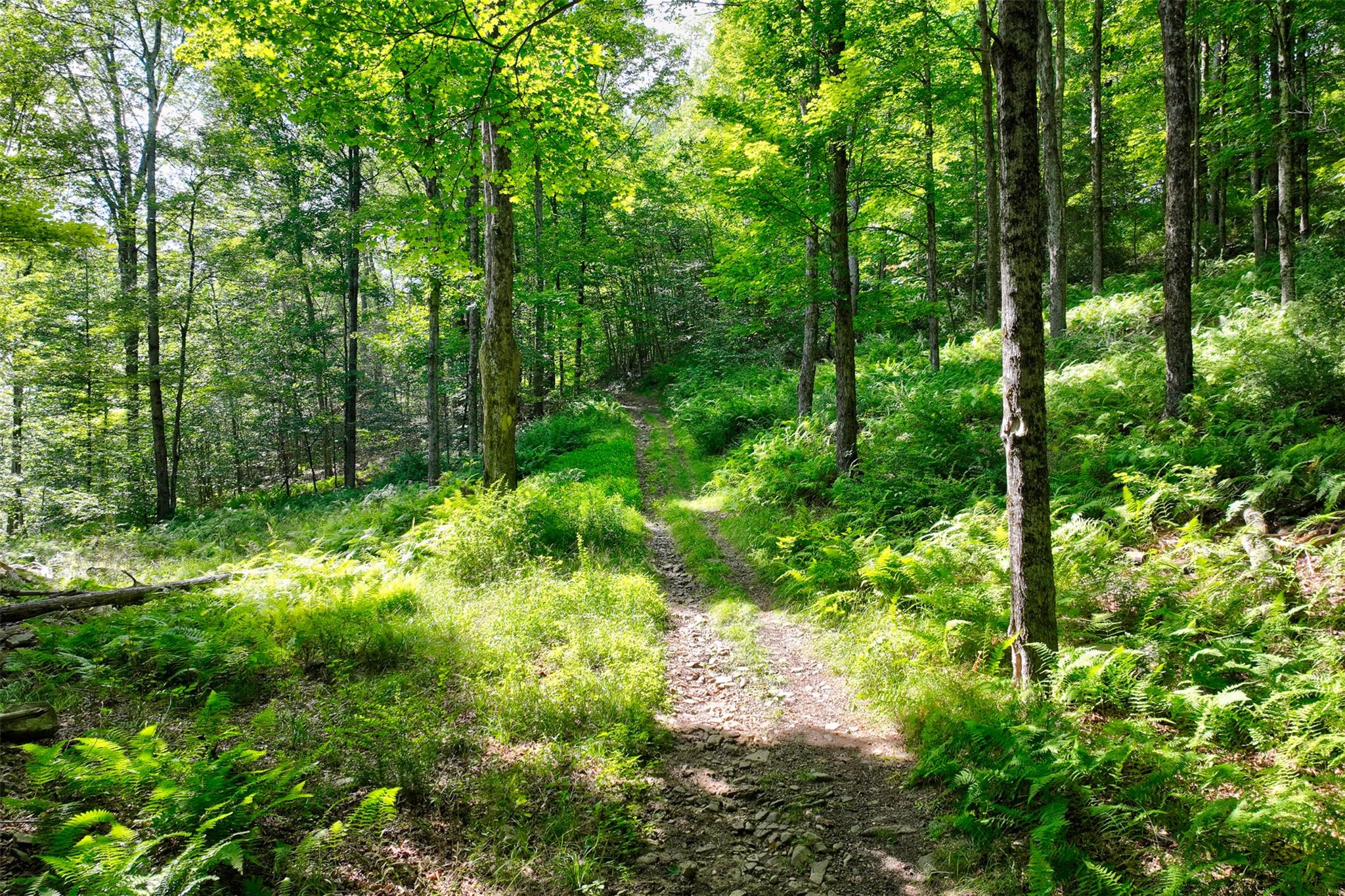 821 Berry Brook Road, Roscoe, NY 12776