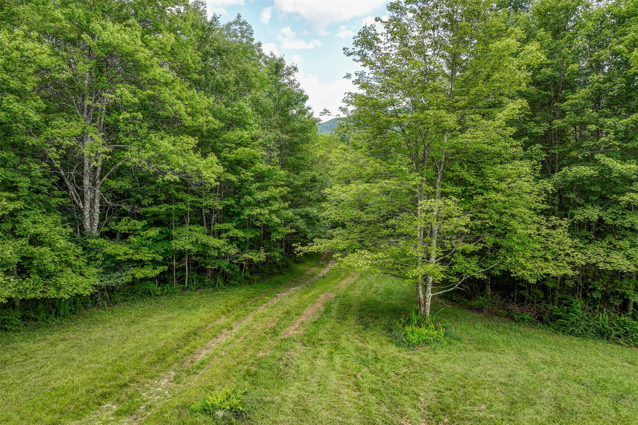 821 Berry Brook Road, Roscoe, NY 12776