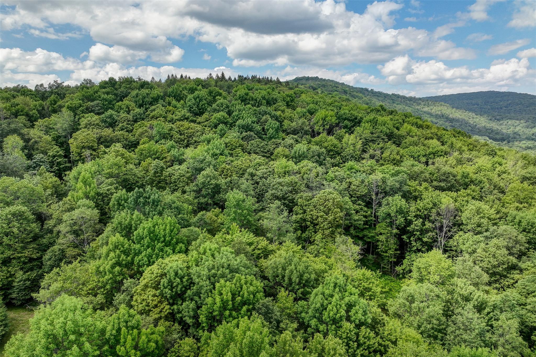 821 Berry Brook Road, Roscoe, NY 12776