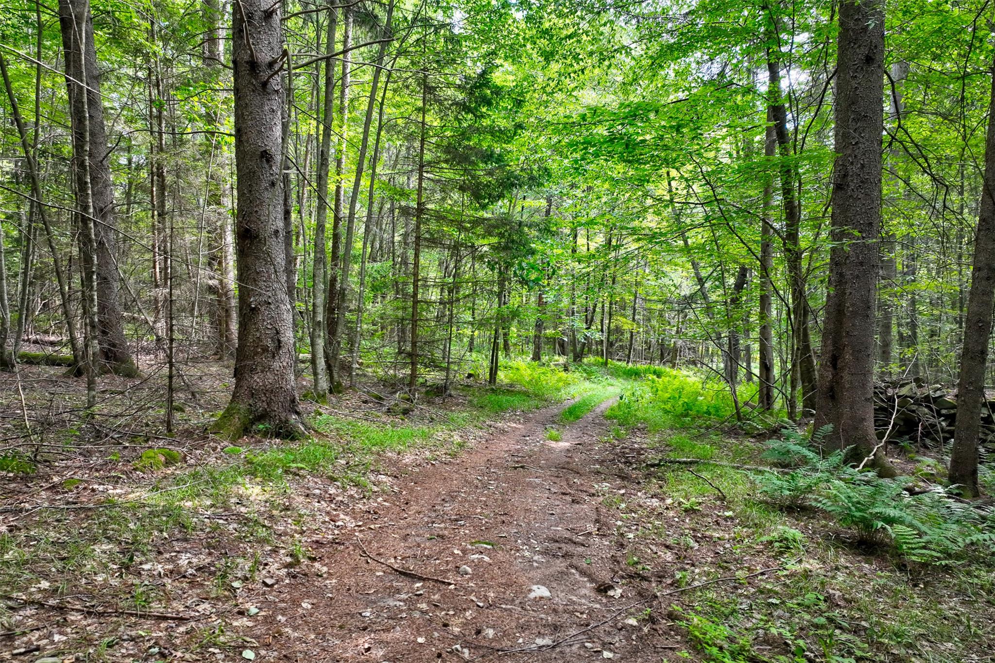 821 Berry Brook Road, Roscoe, NY 12776