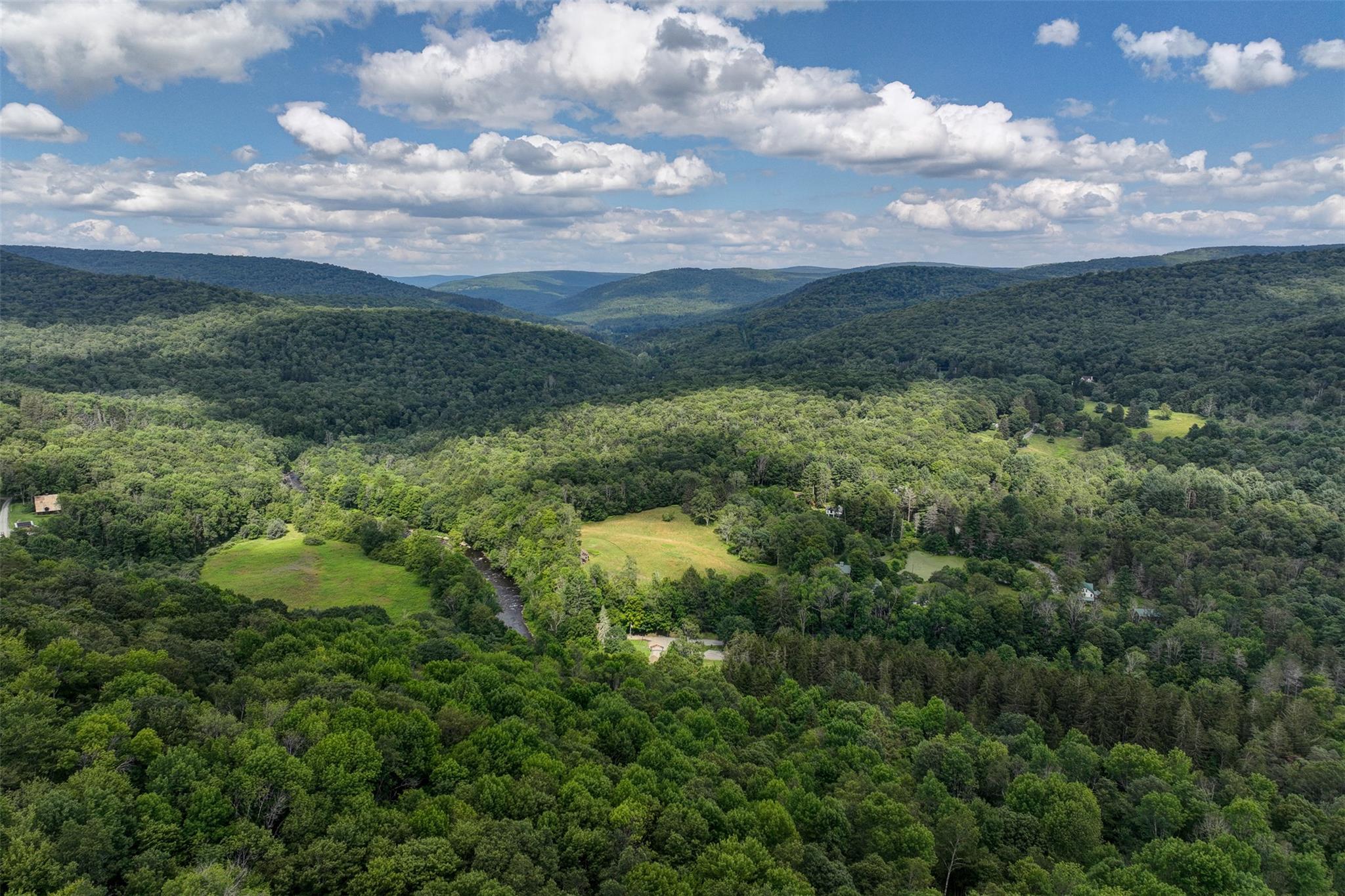 821 Berry Brook Road, Roscoe, NY 12776