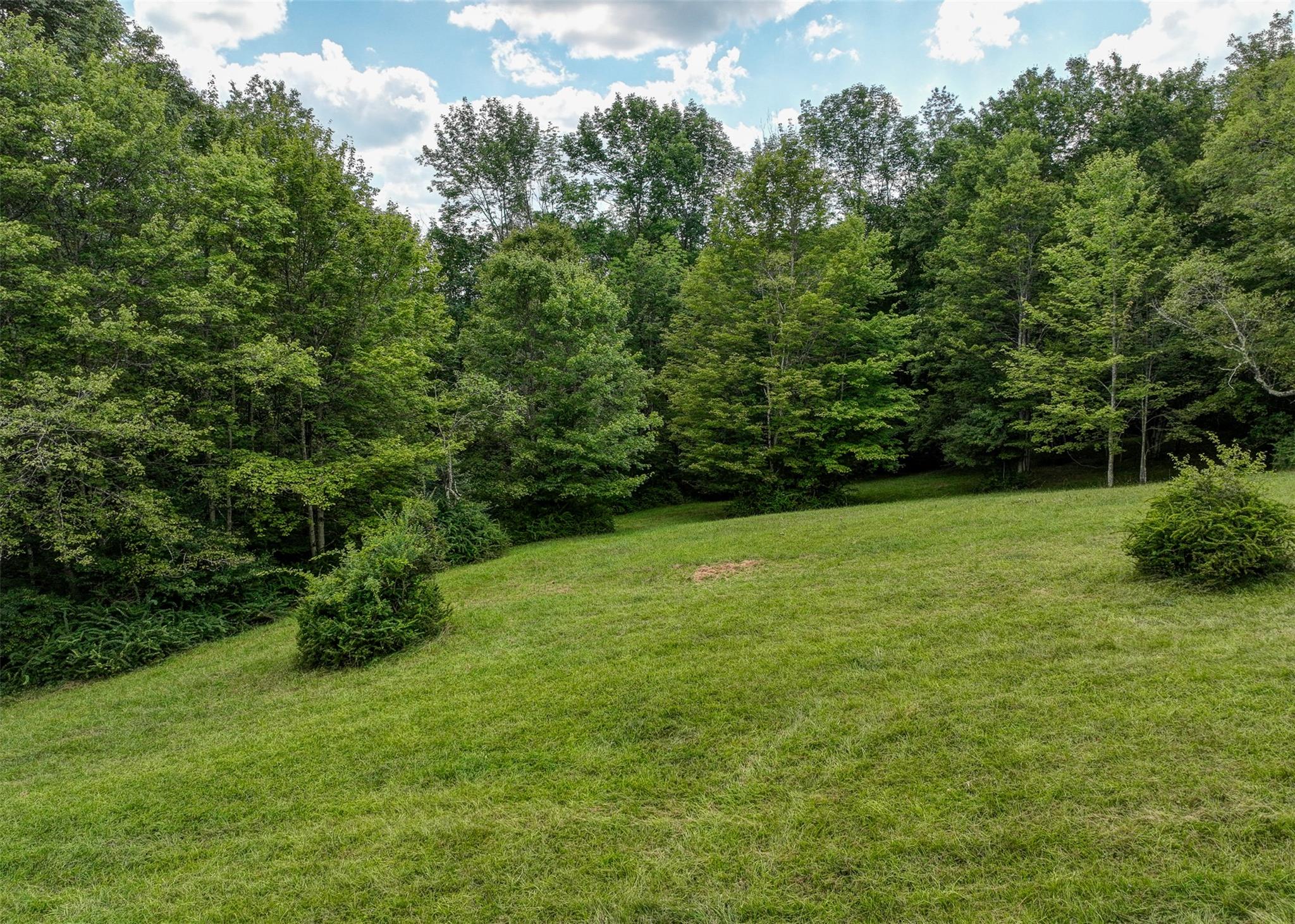 821 Berry Brook Road, Roscoe, NY 12776