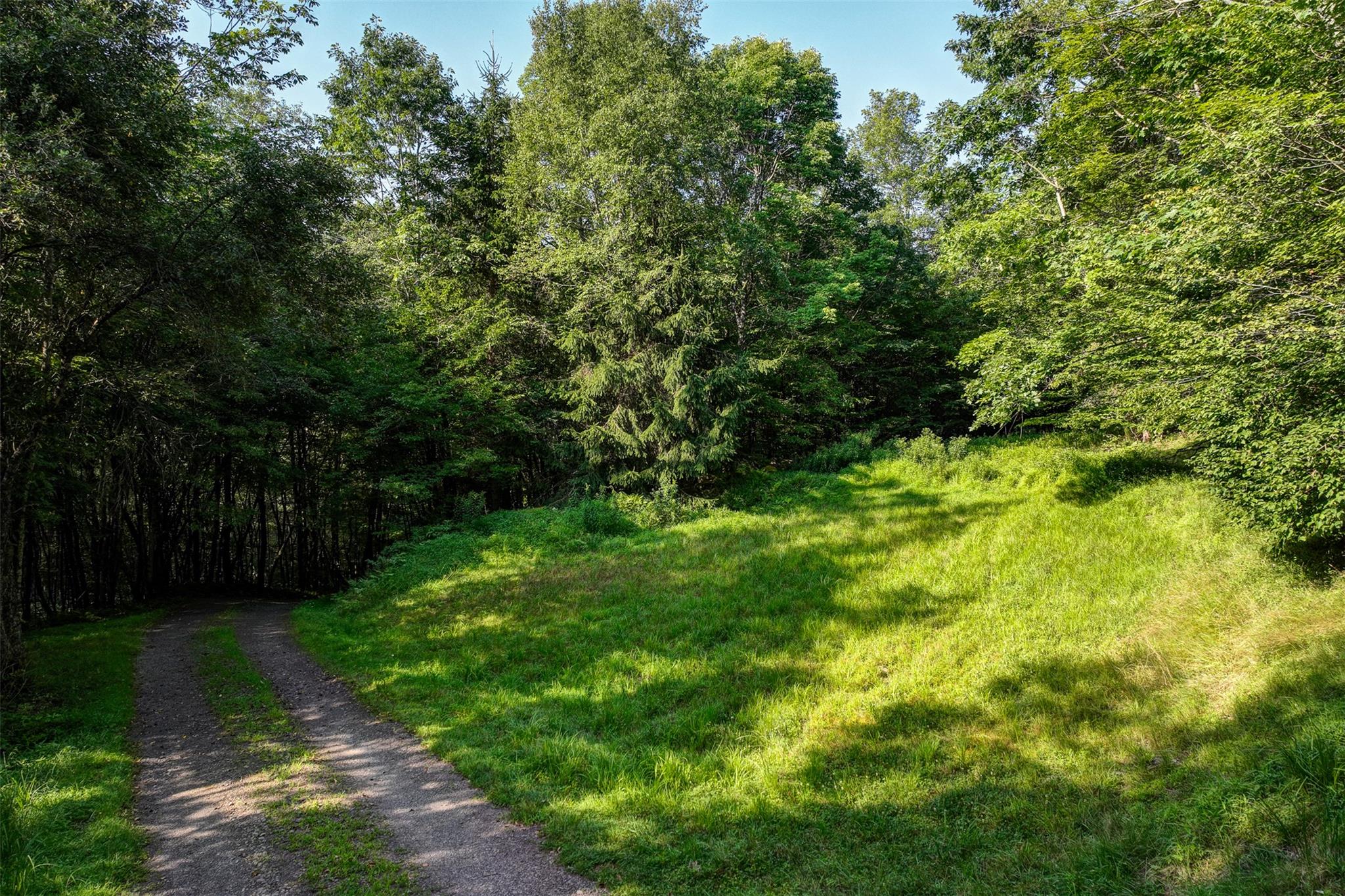 821 Berry Brook Road, Roscoe, NY 12776