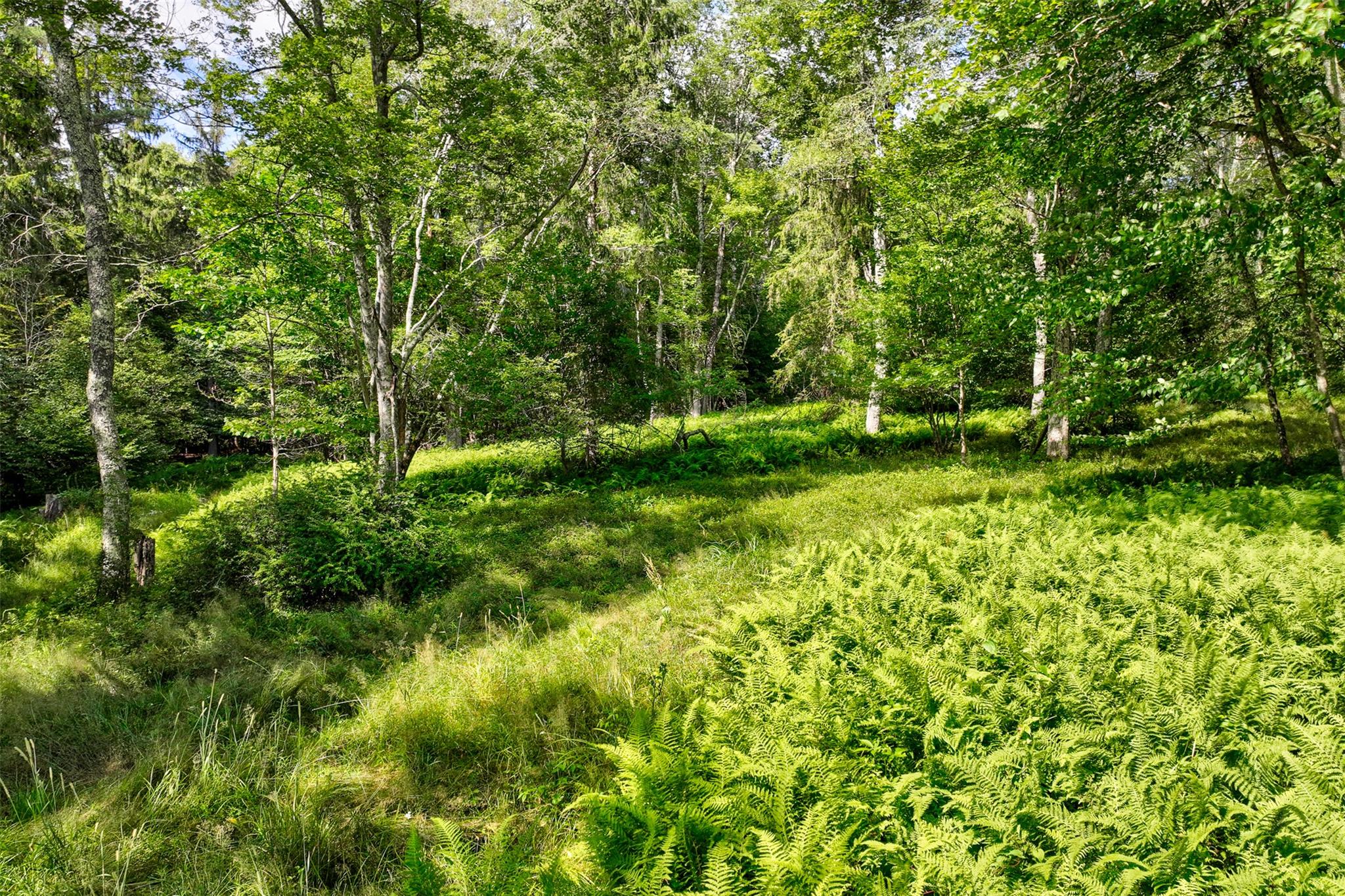 821 Berry Brook Road, Roscoe, NY 12776