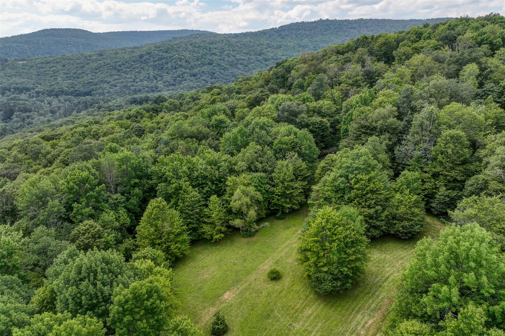 821 Berry Brook Road, Roscoe, NY 12776