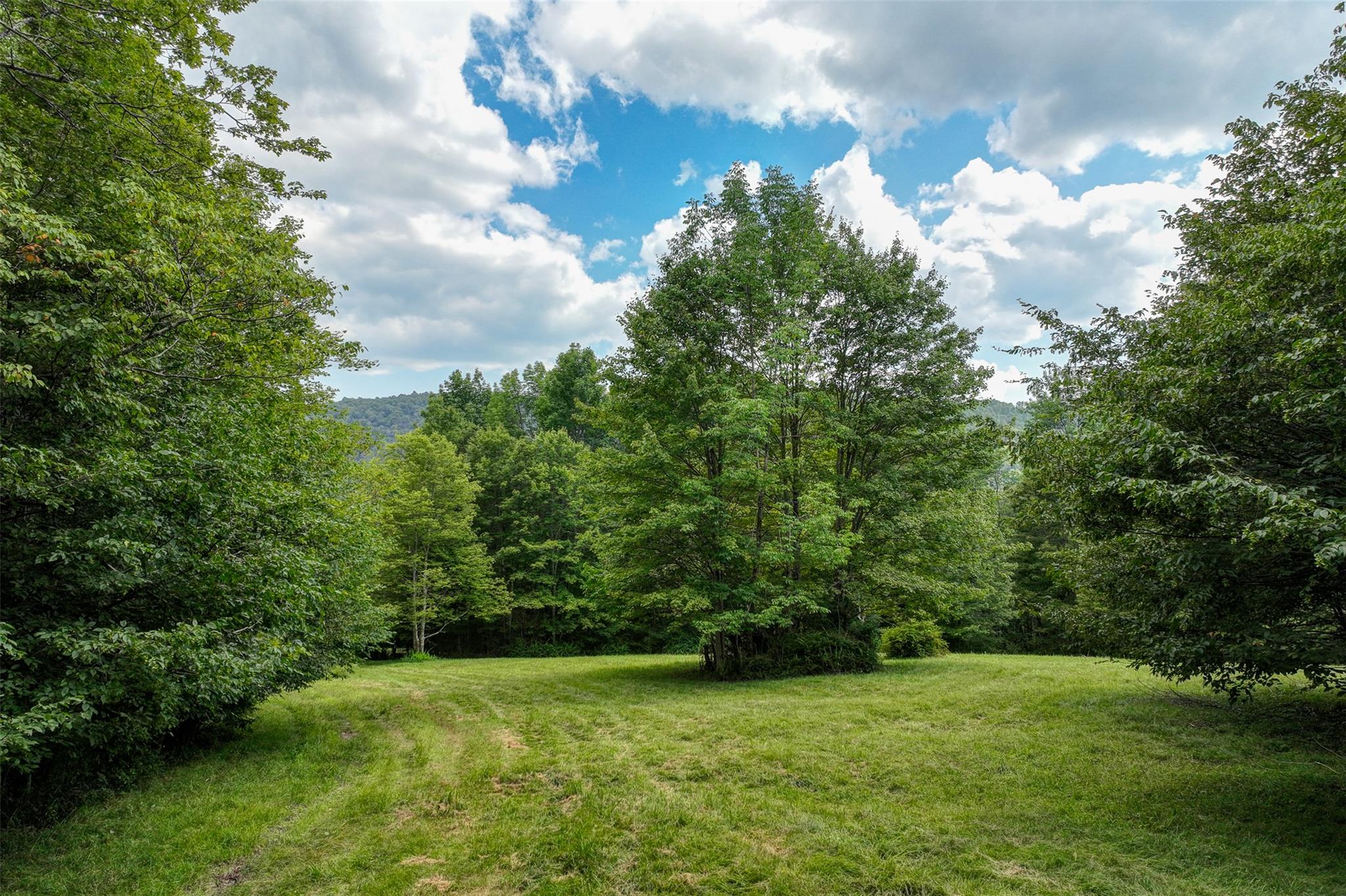 821 Berry Brook Road, Roscoe, NY 12776