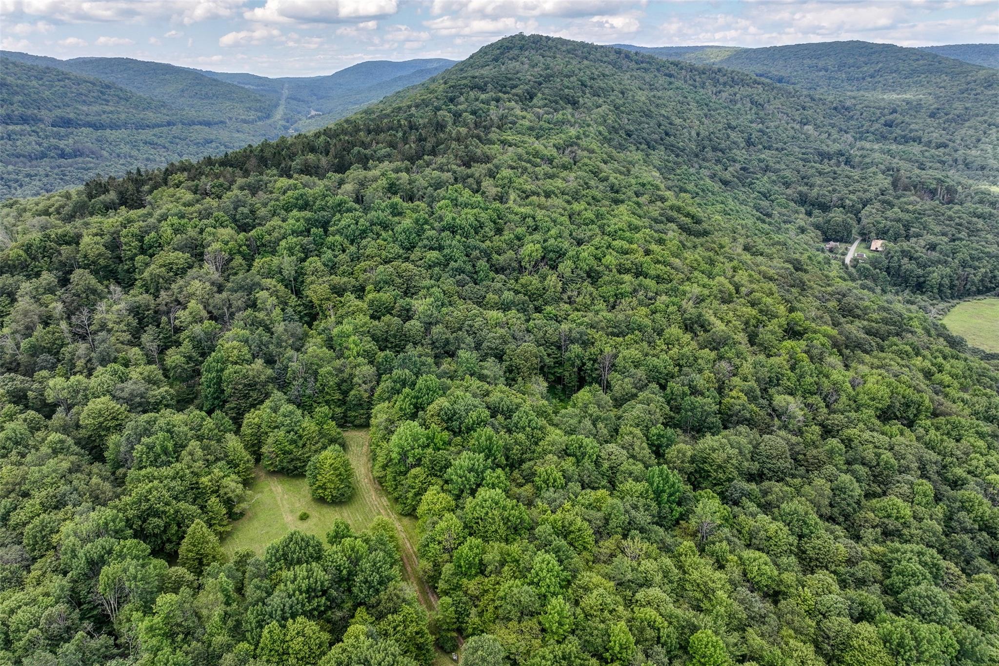 821 Berry Brook Road, Roscoe, NY 12776