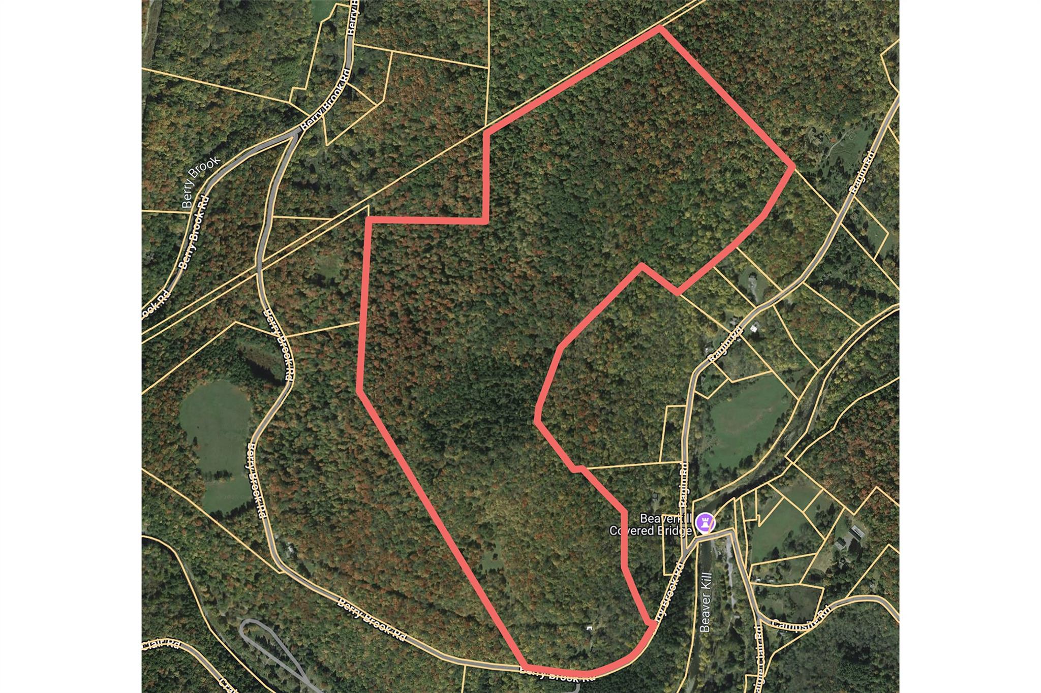 821 Berry Brook Road, Roscoe, NY 12776