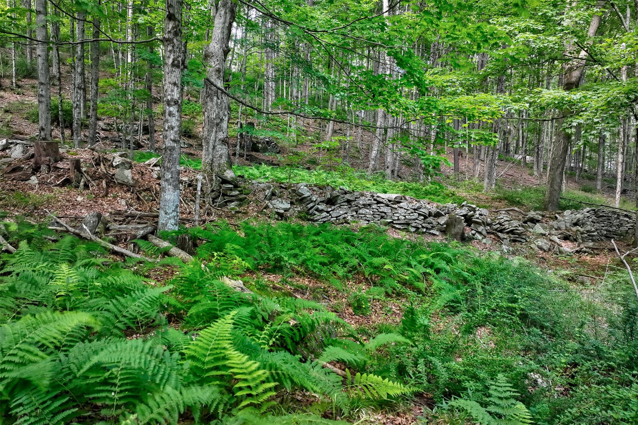 821 Berry Brook Road, Roscoe, NY 12776