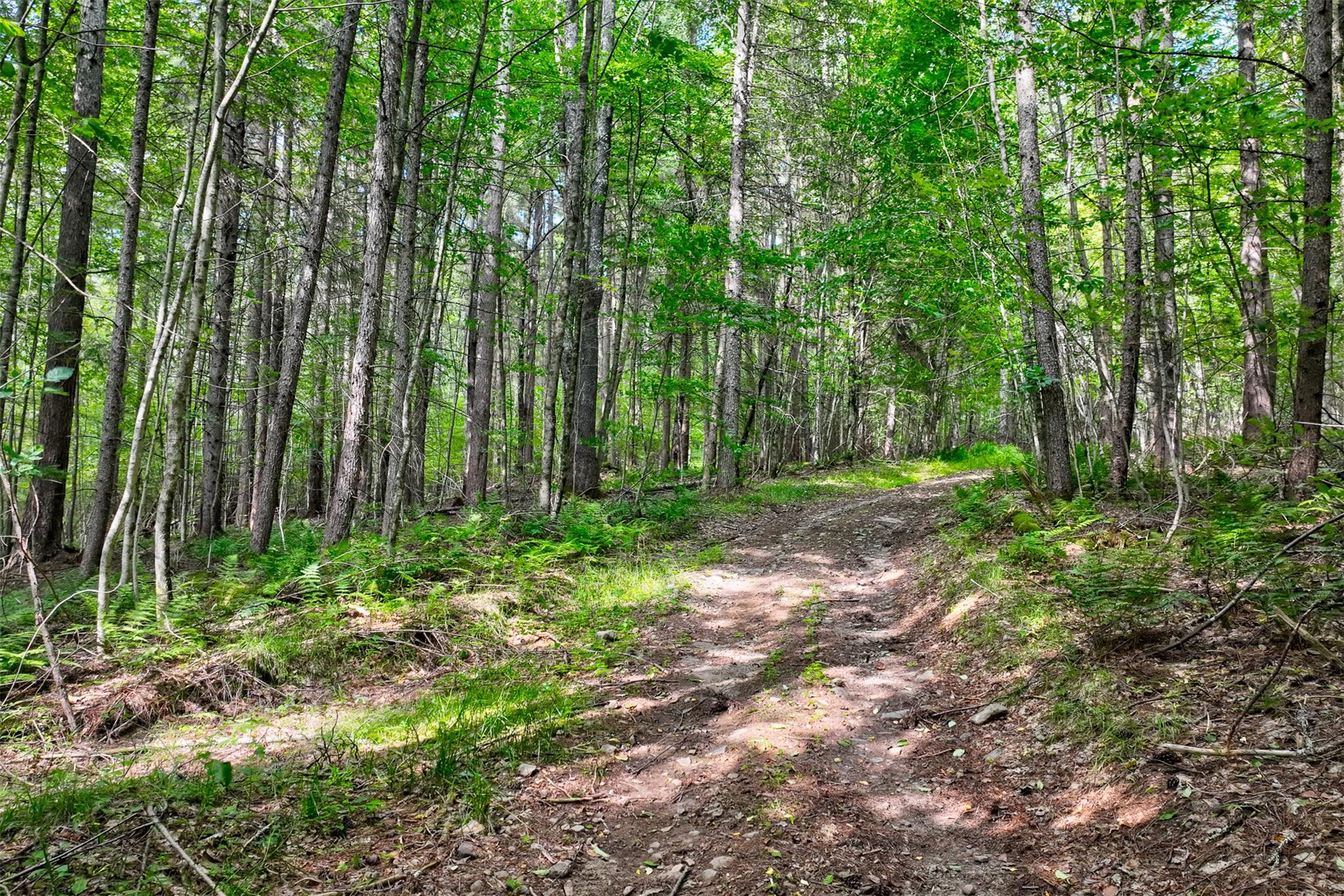 821 Berry Brook Road, Roscoe, NY 12776