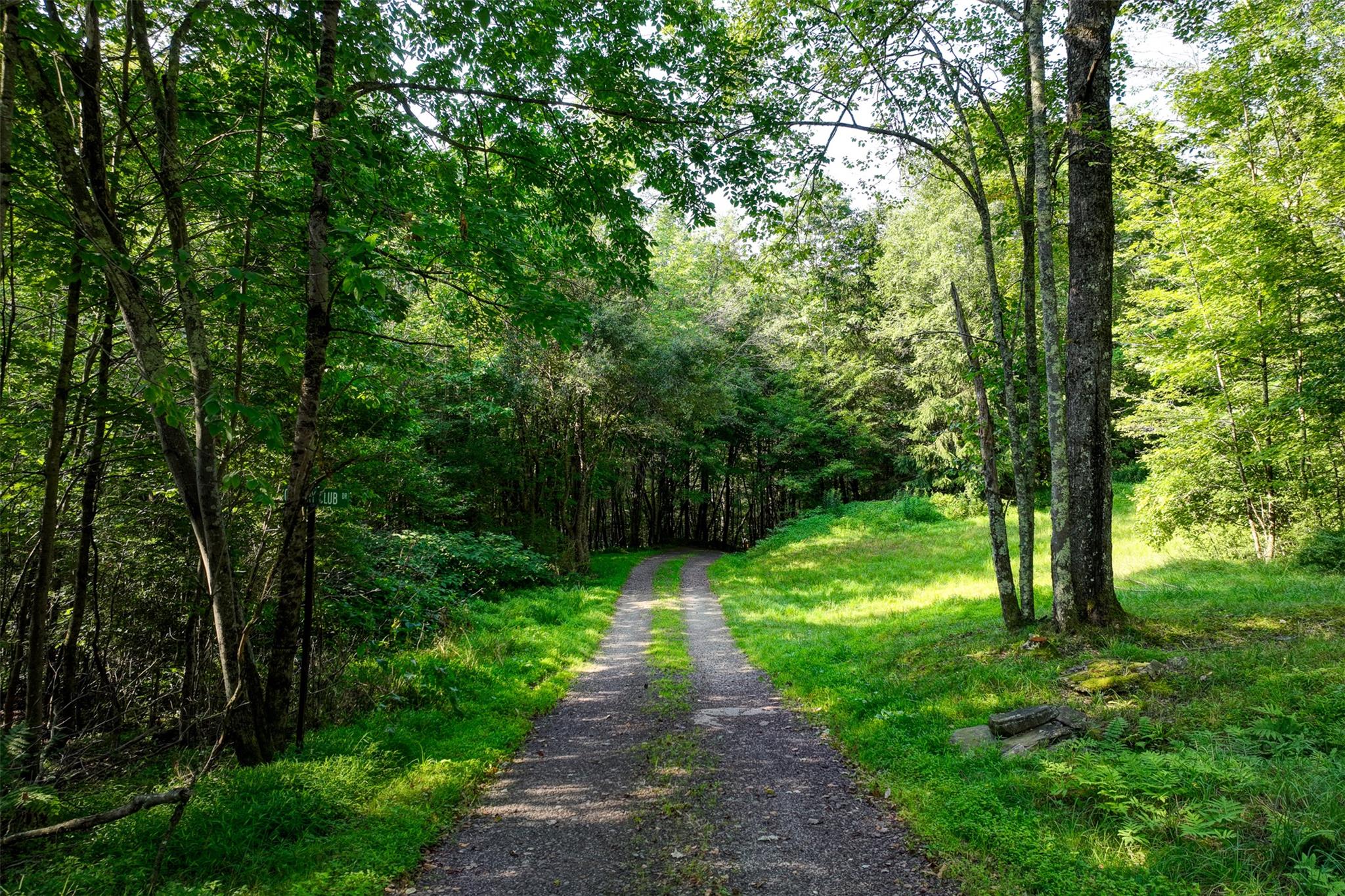 821 Berry Brook Road, Roscoe, NY 12776